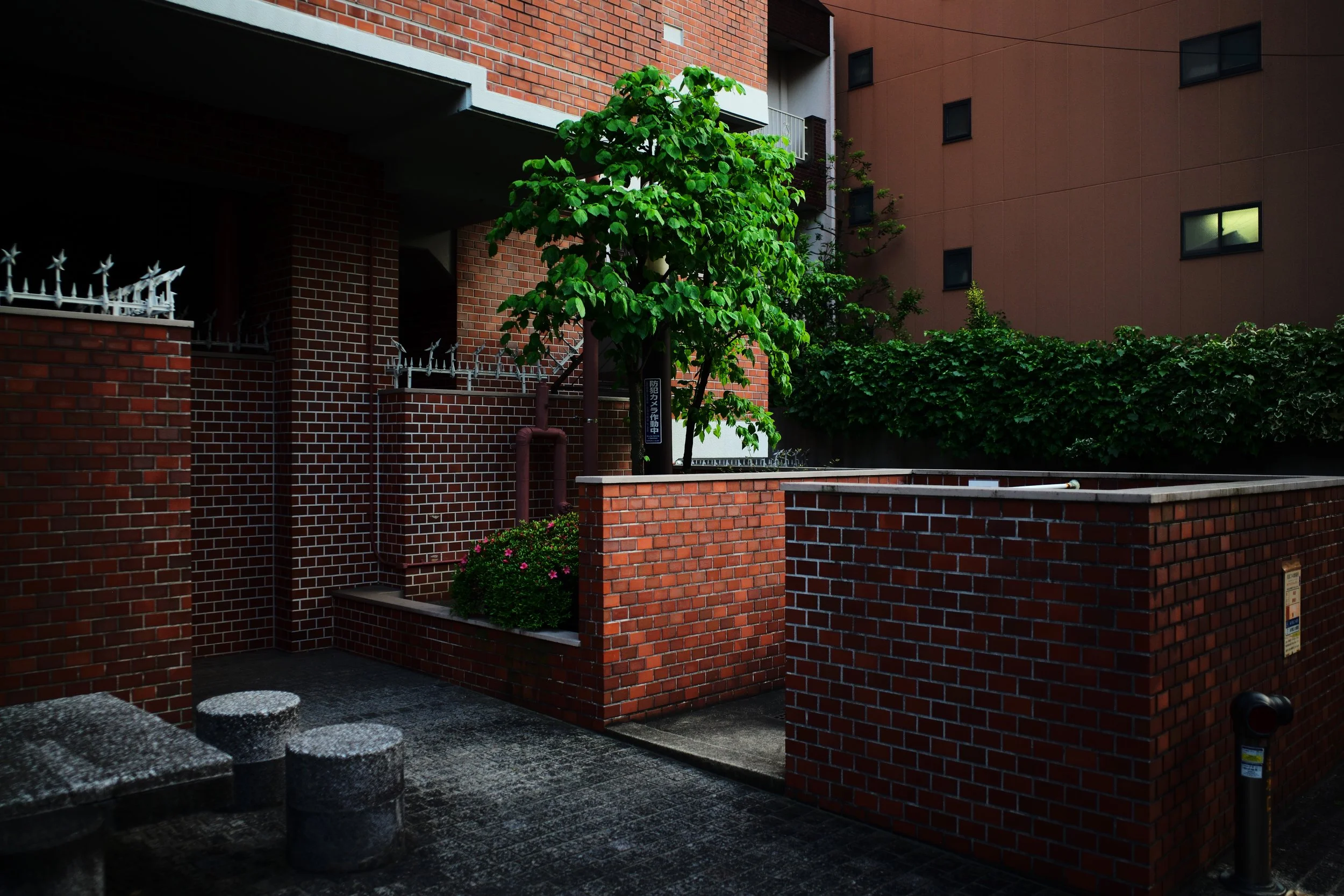 L1004036.JPG