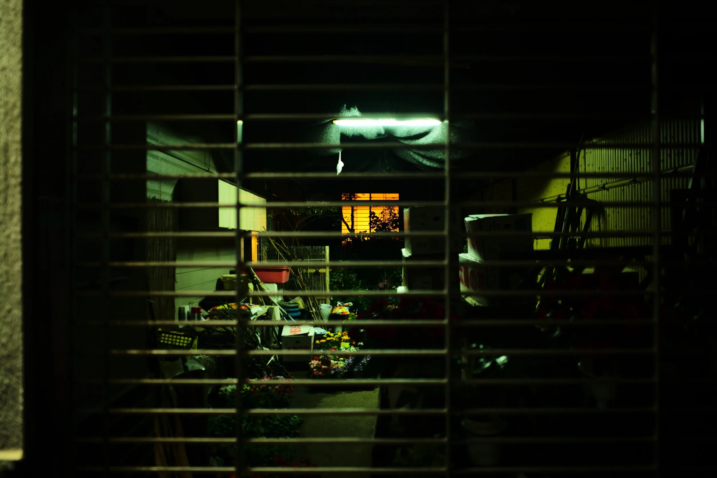 L1003989.JPG