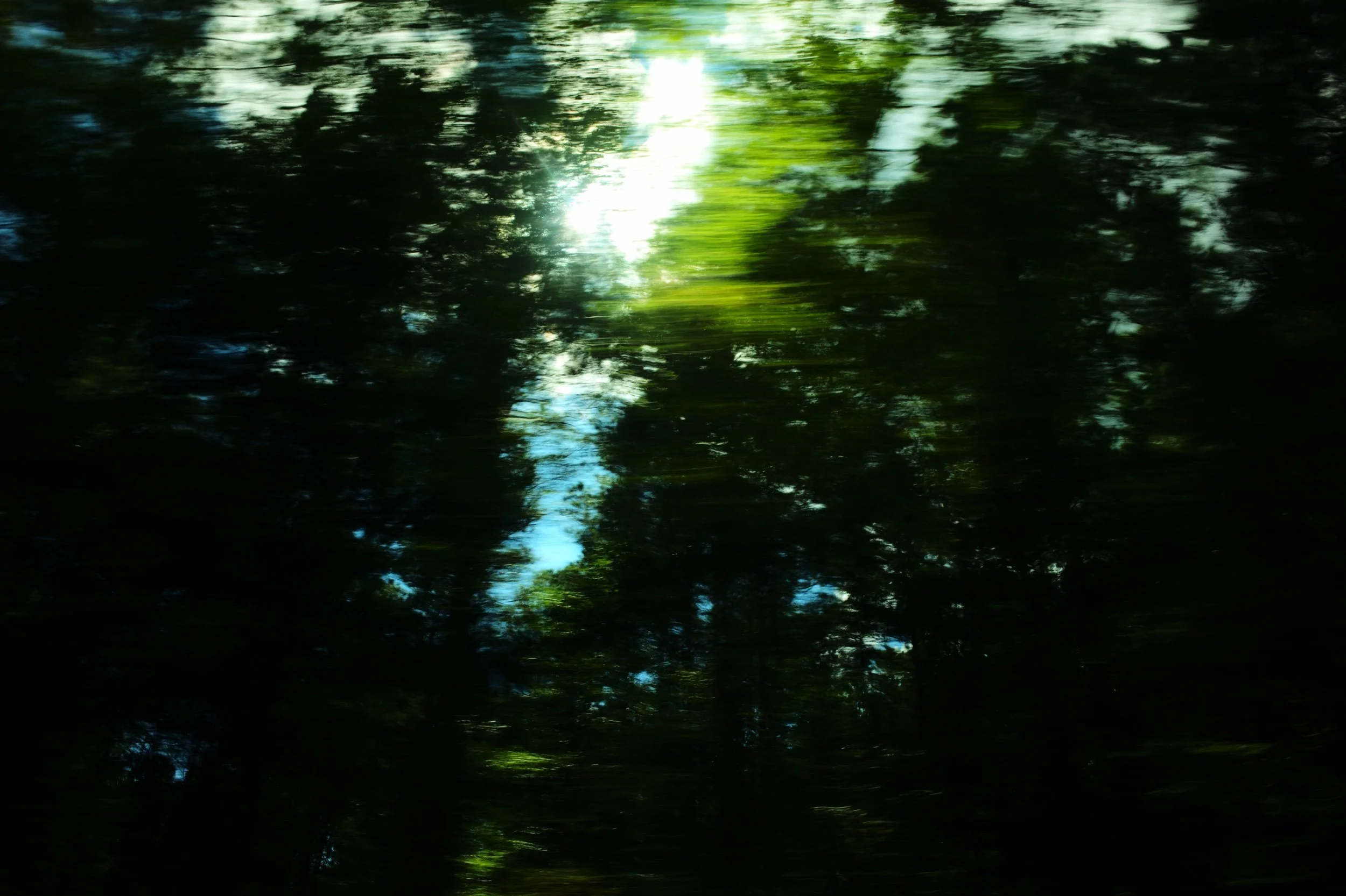L1005004.jpeg