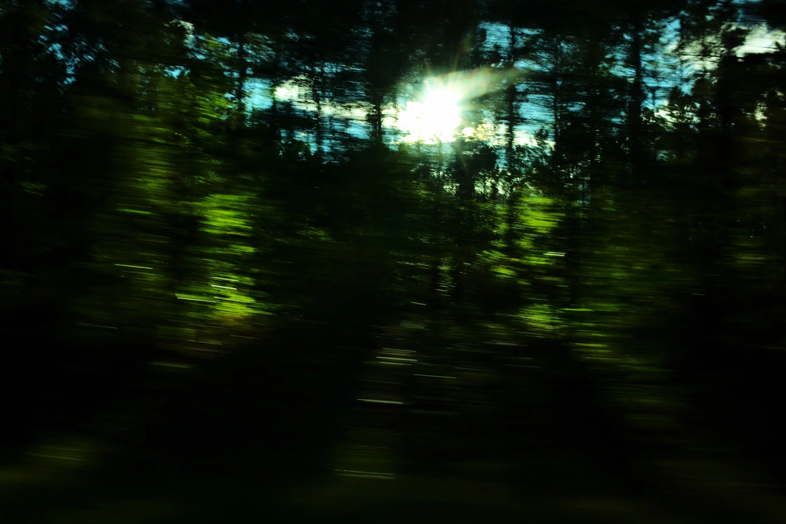 L1004937.jpeg