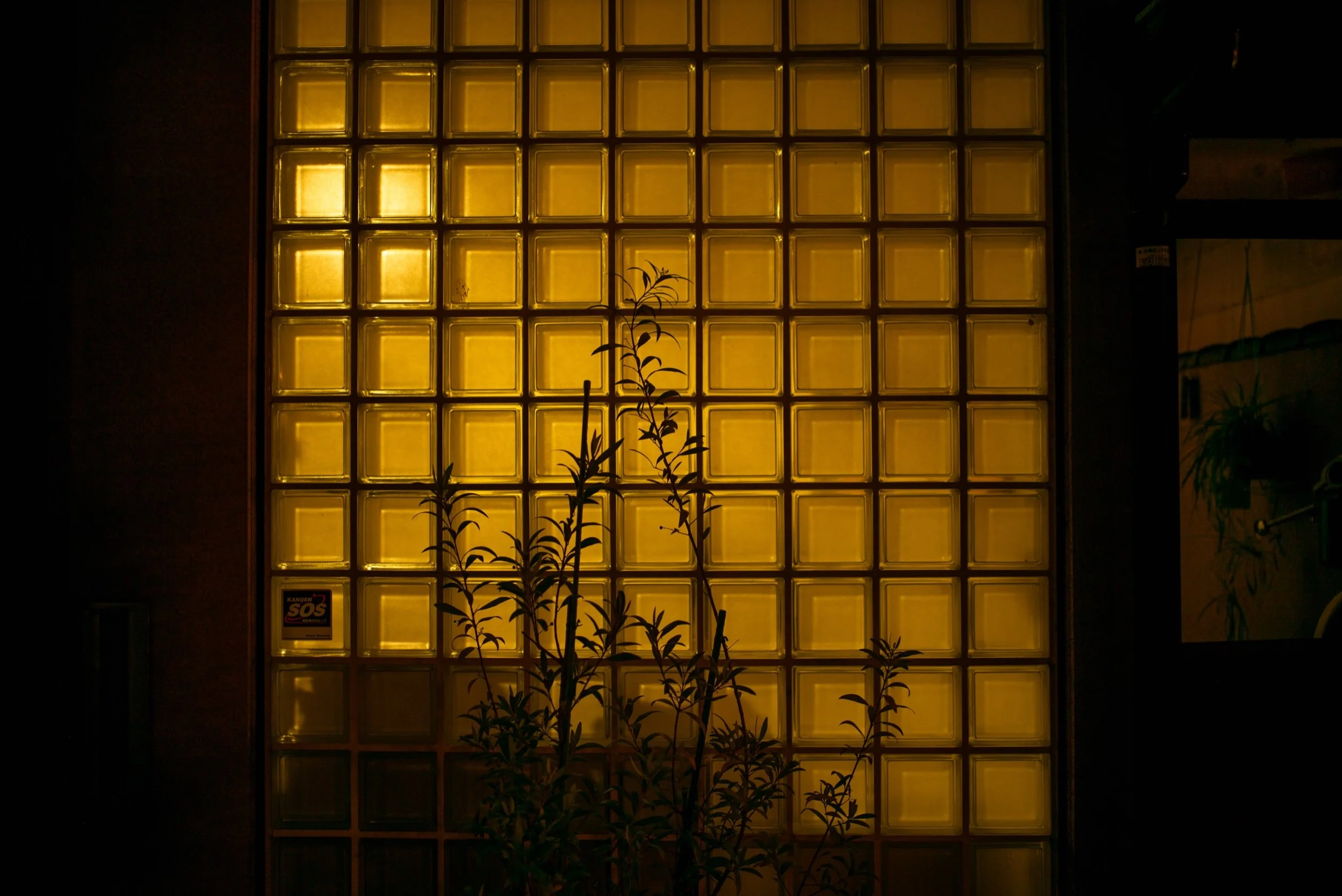 L1003998.jpeg