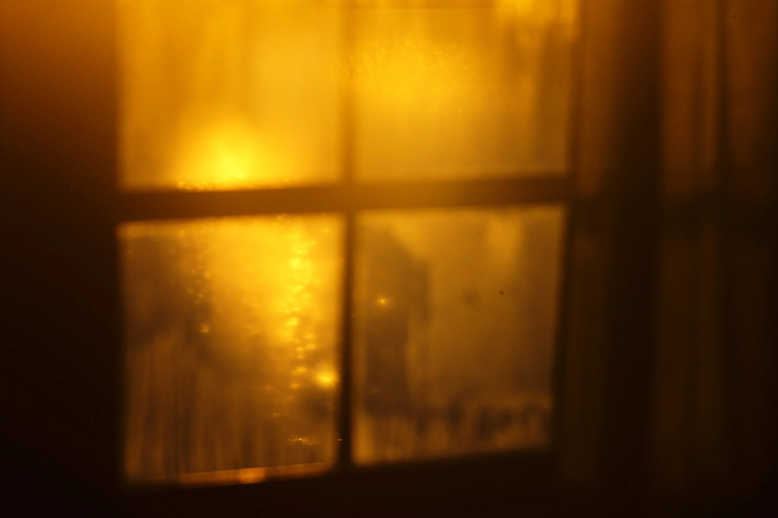 L1005013.jpeg