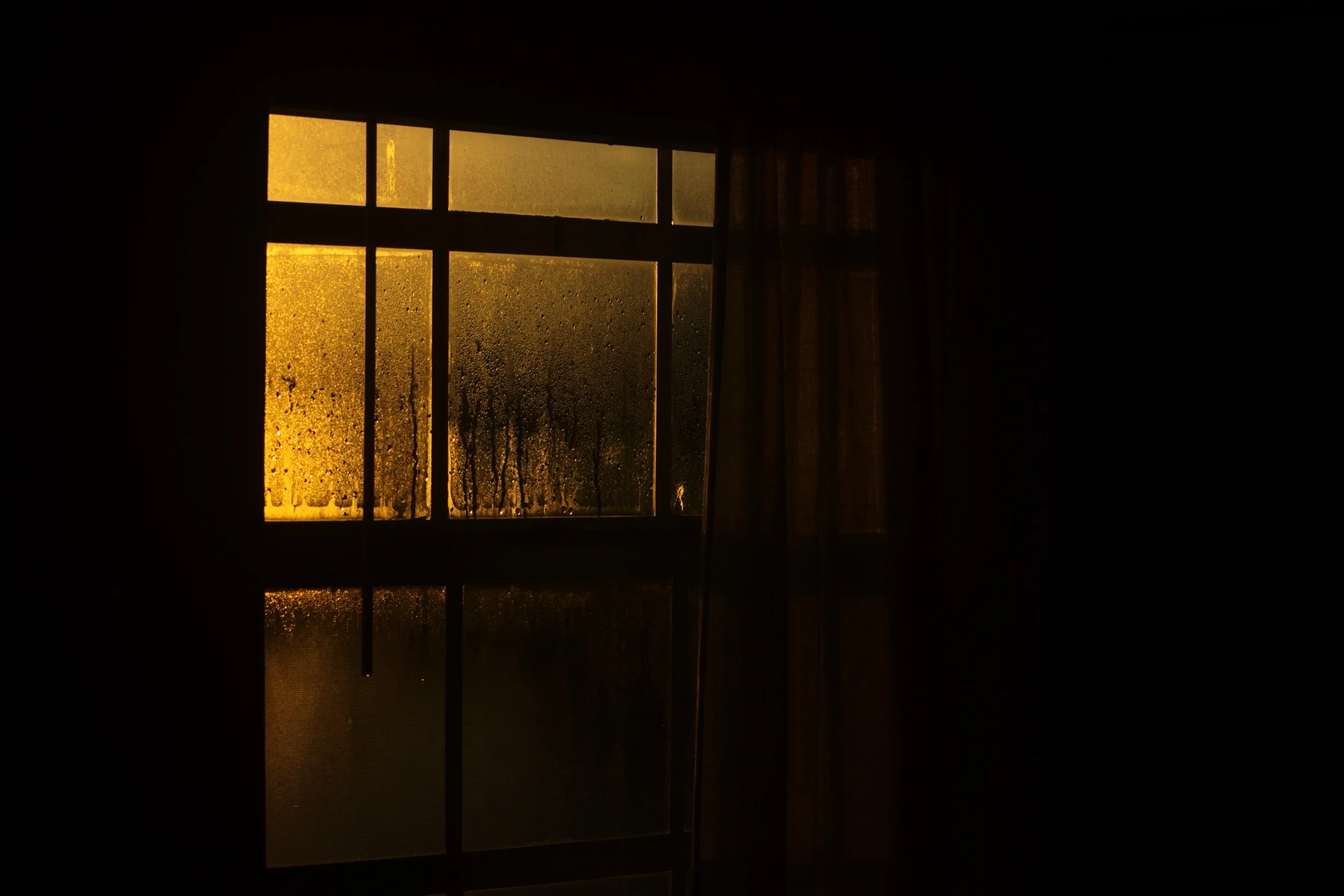 L1005016.jpeg