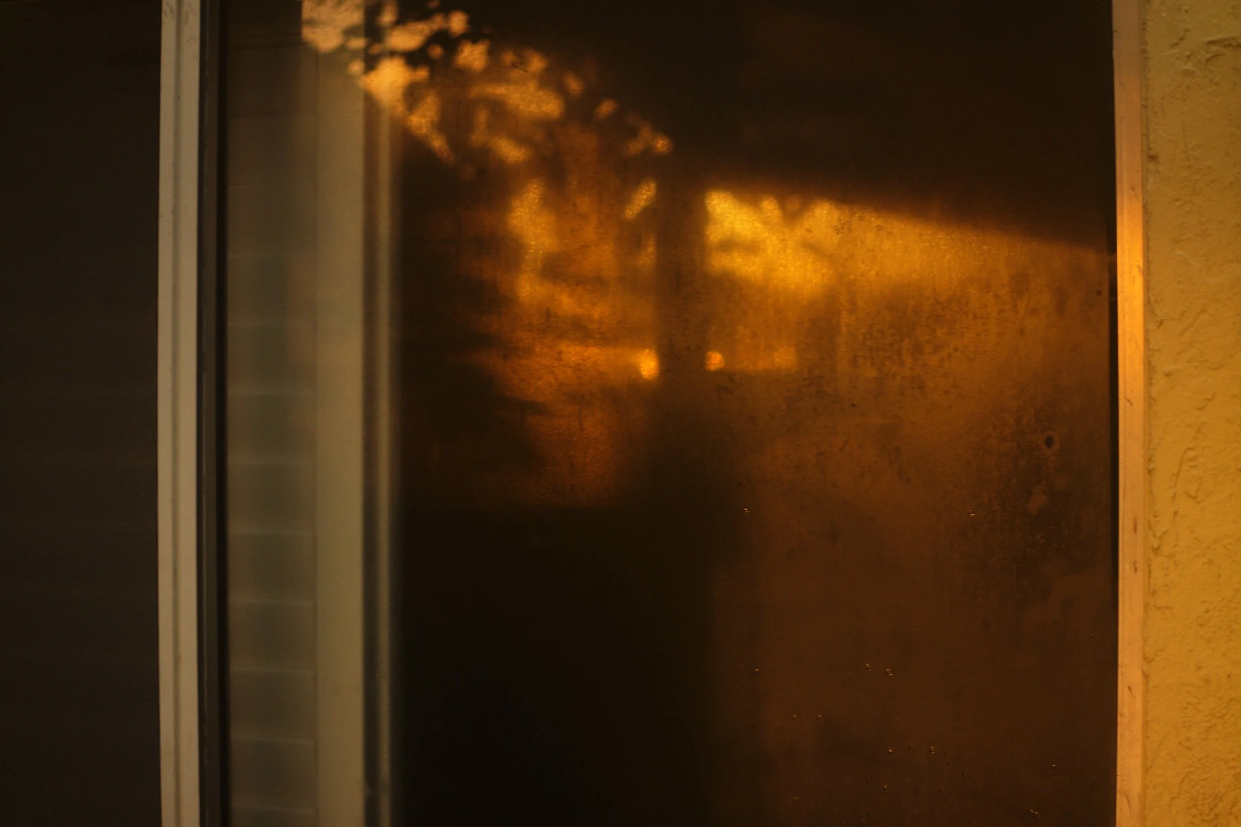 L1005045.jpeg