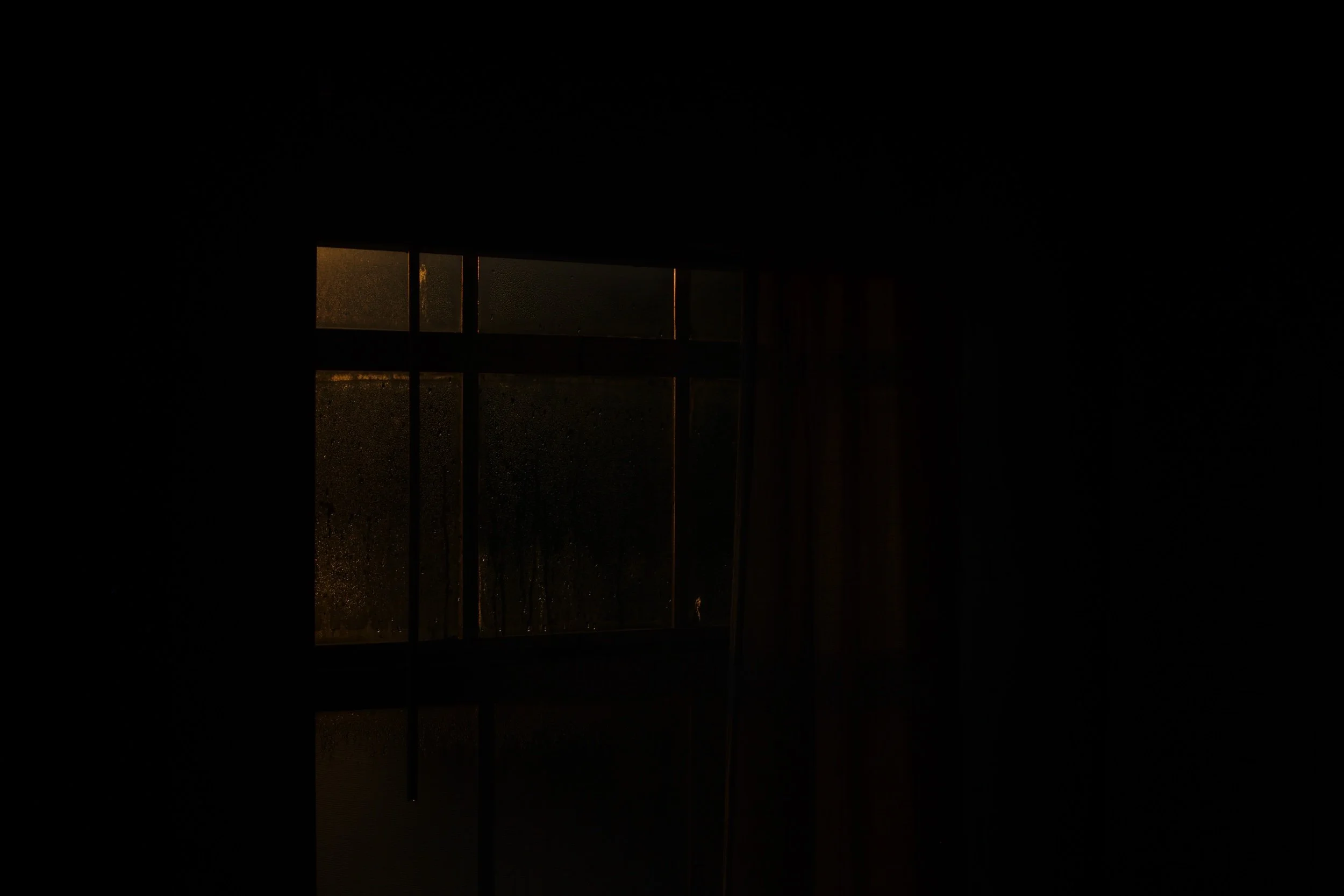 L1005020.jpeg