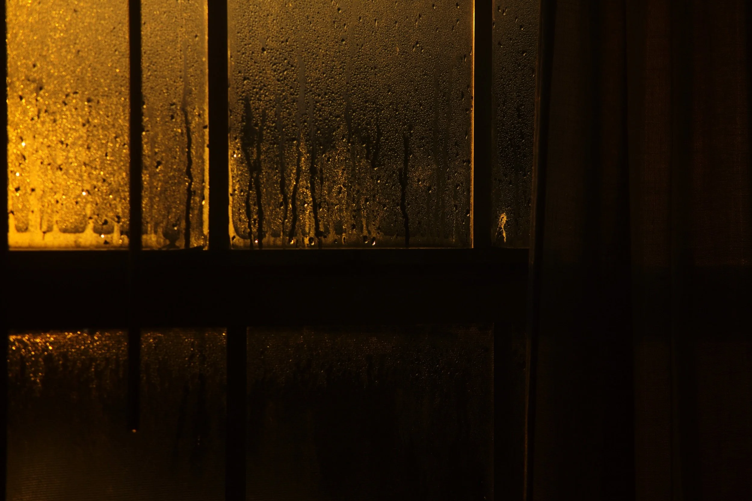 L1005019.jpeg