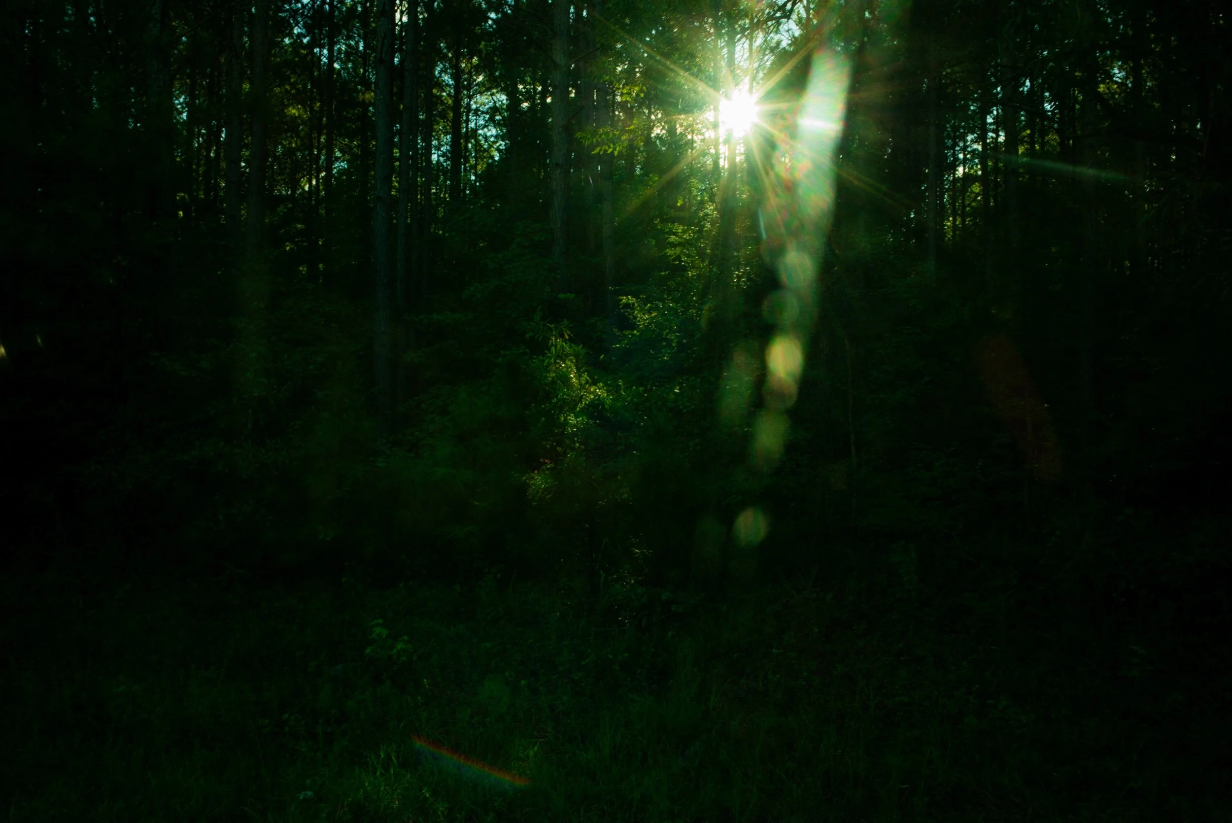 L1004922_1.jpeg