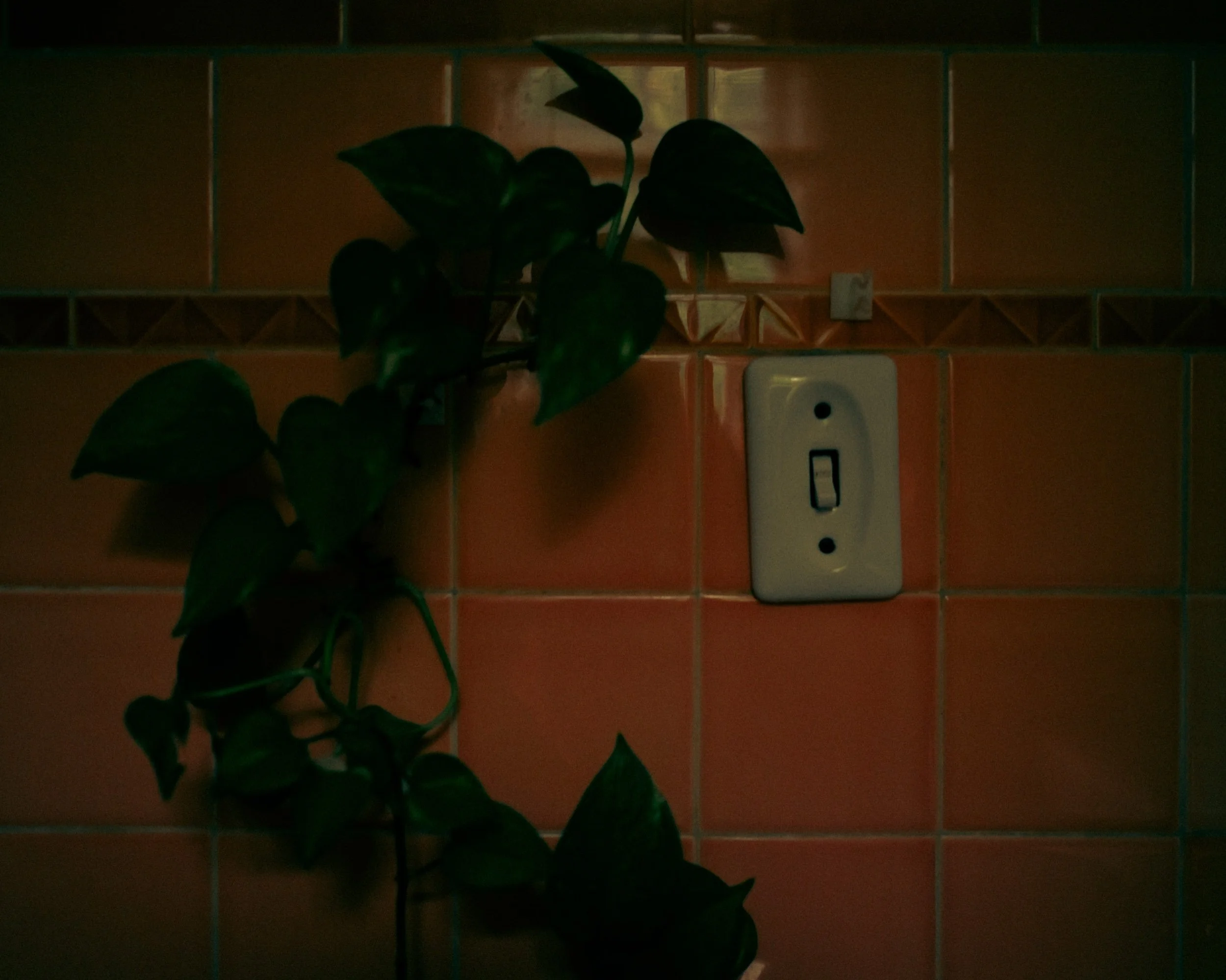 L1002112_1.jpeg