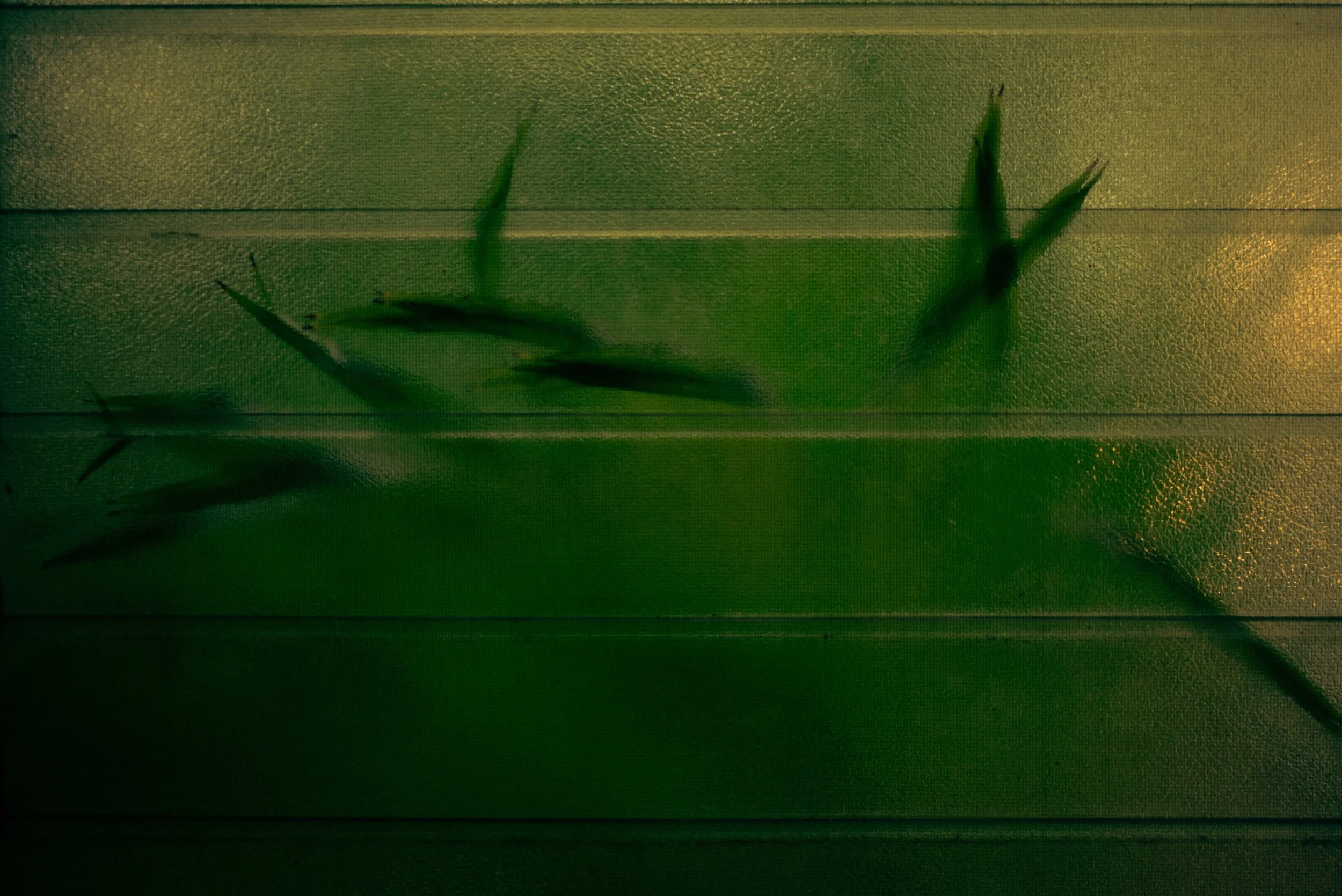 L1002088_1.jpeg