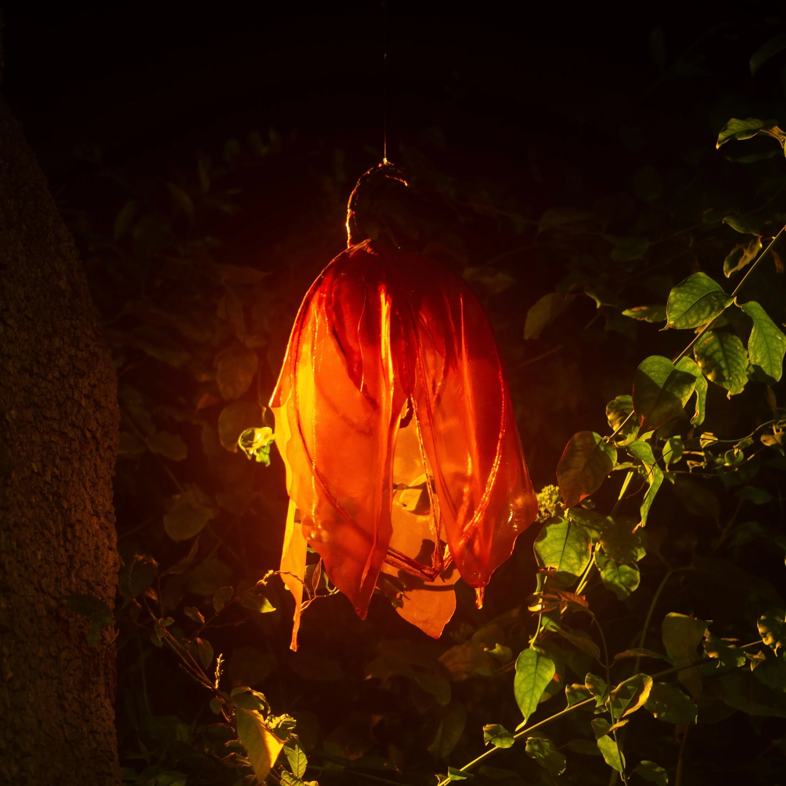 L1002839_1.jpeg