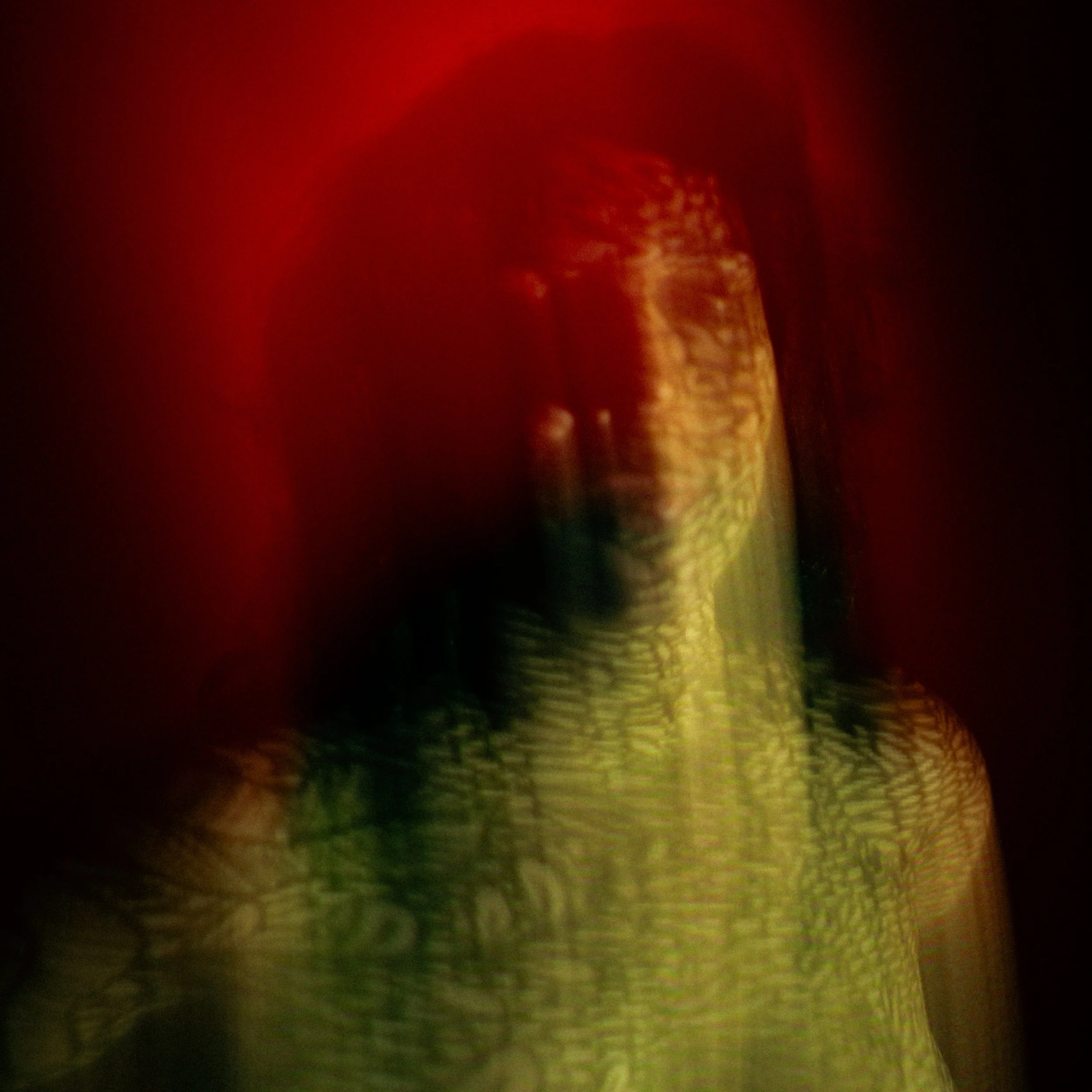 L1006115_1.jpeg