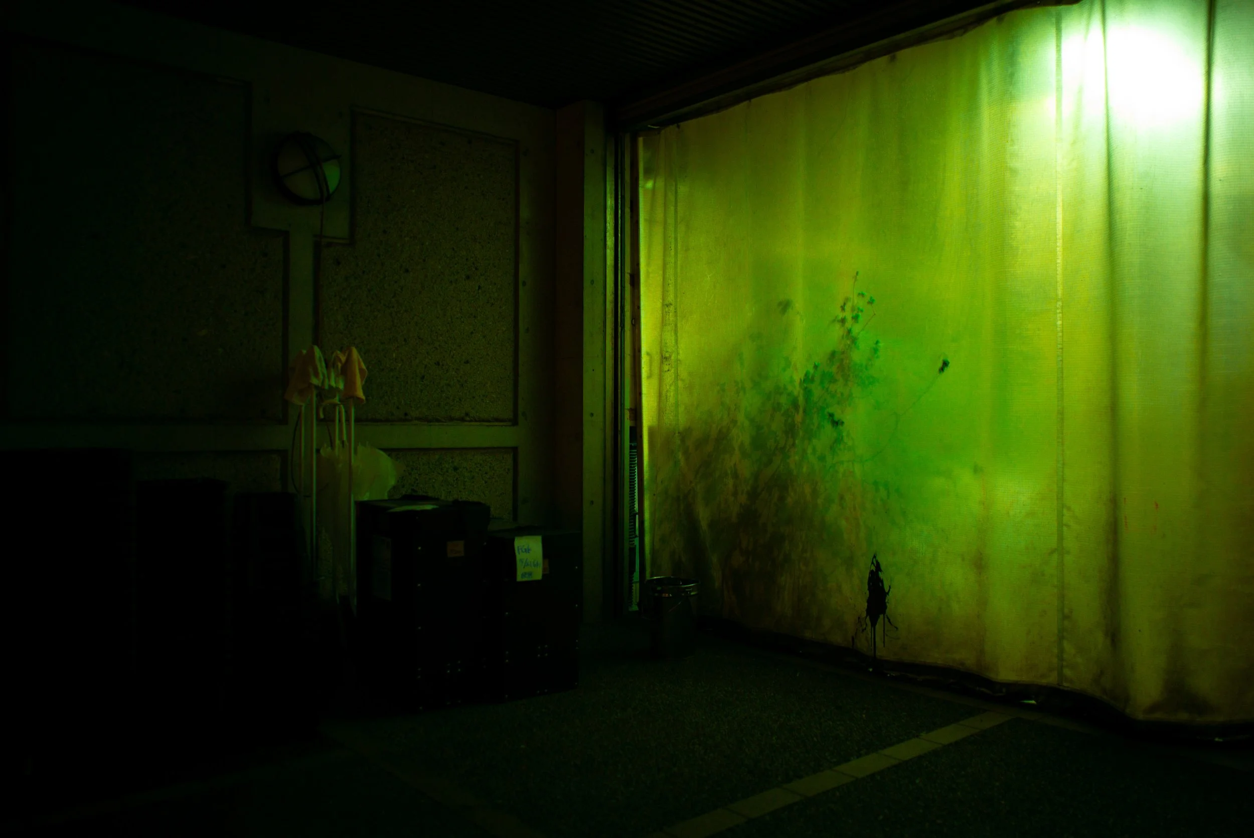L1004189_1.jpeg