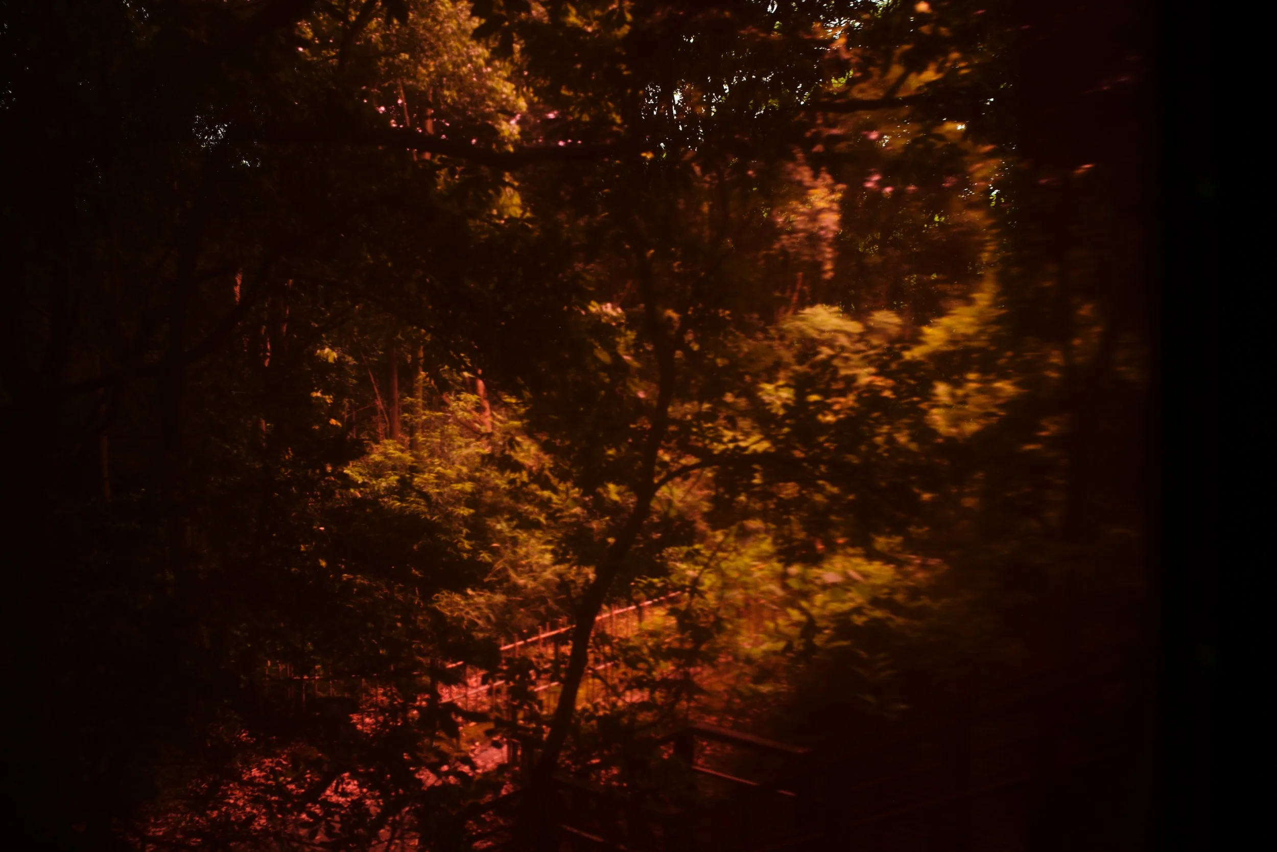 L1003836.jpeg
