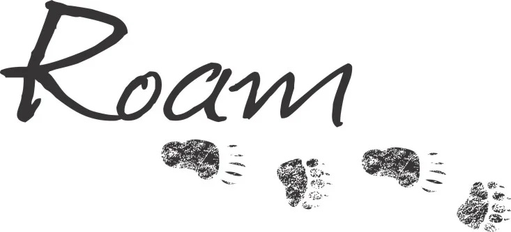 ROAM_bear.jpg