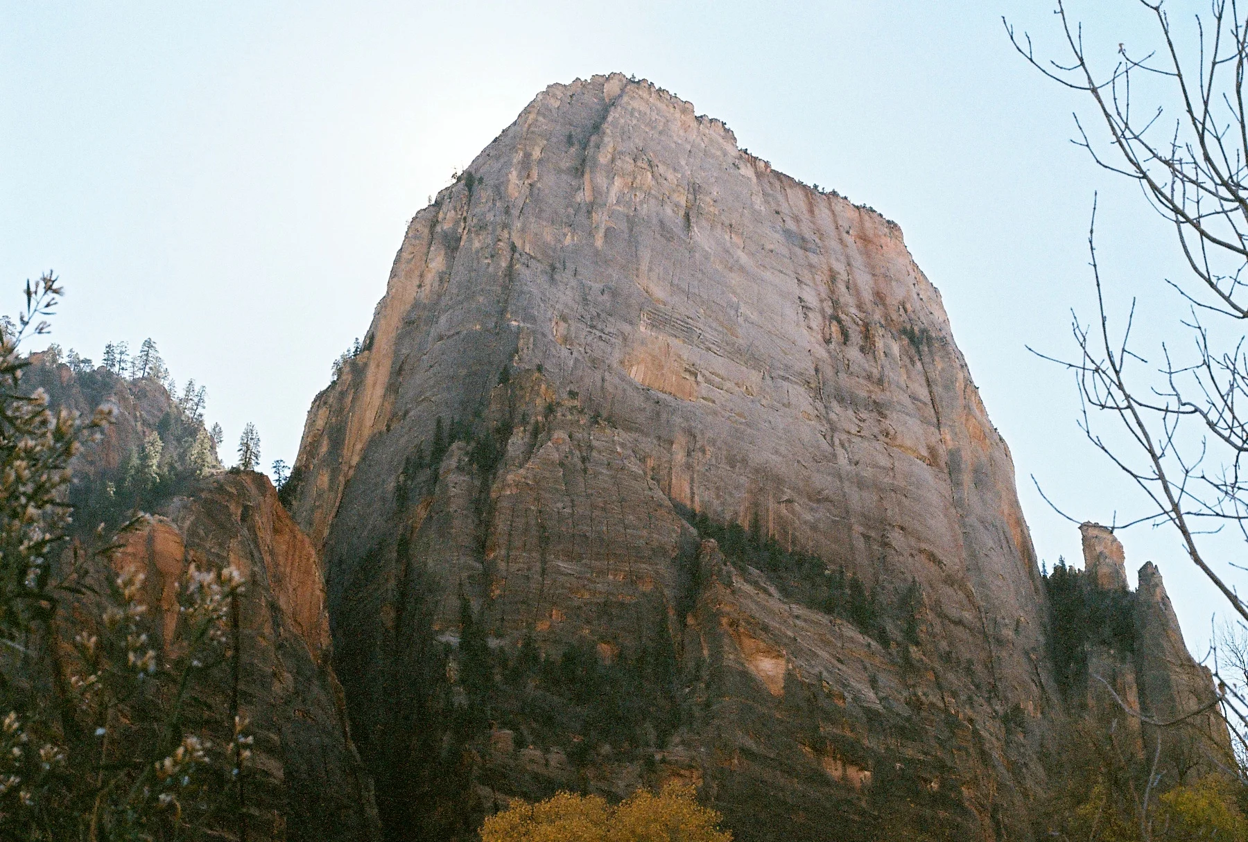 R1-08786-0011.jpg
