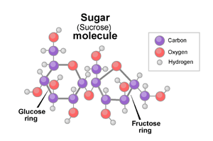 sugar-molecule-1.gif