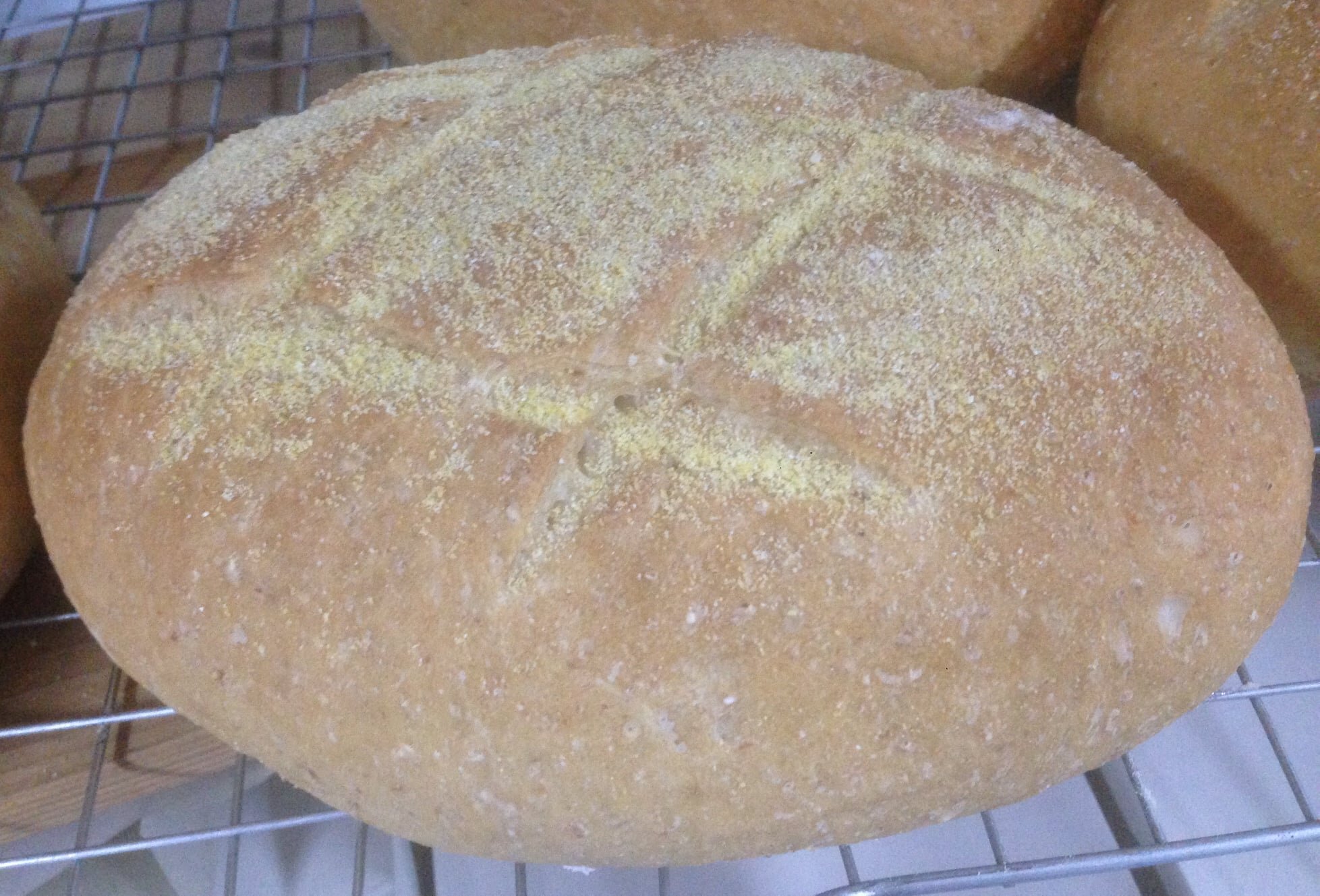 italian bread.jpg
