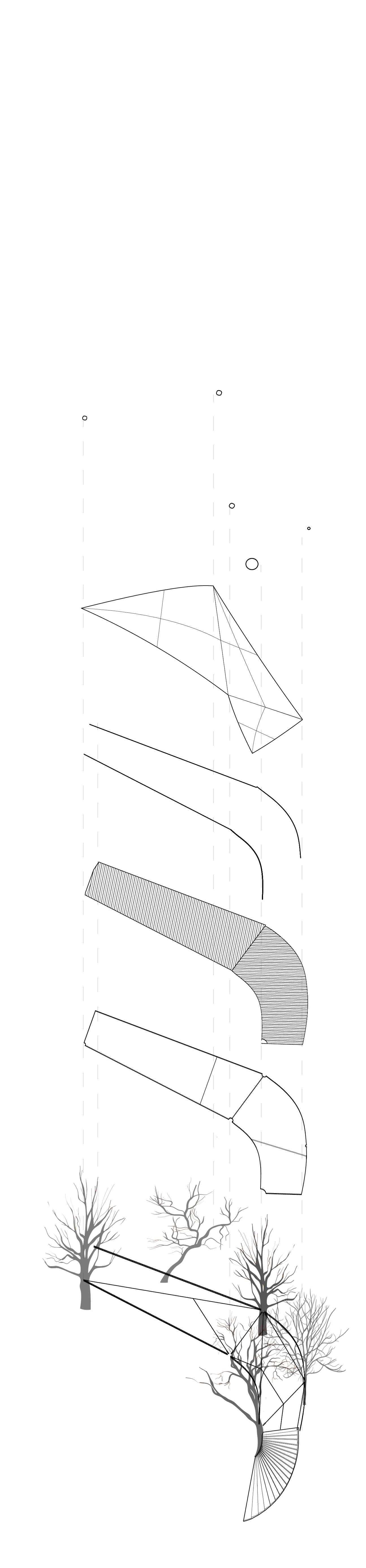 exploded axon3 [Converted].png