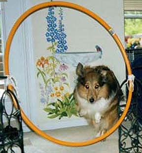 Hoop3.jpg