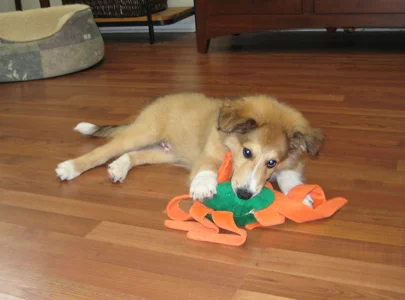 little boy9.jpg