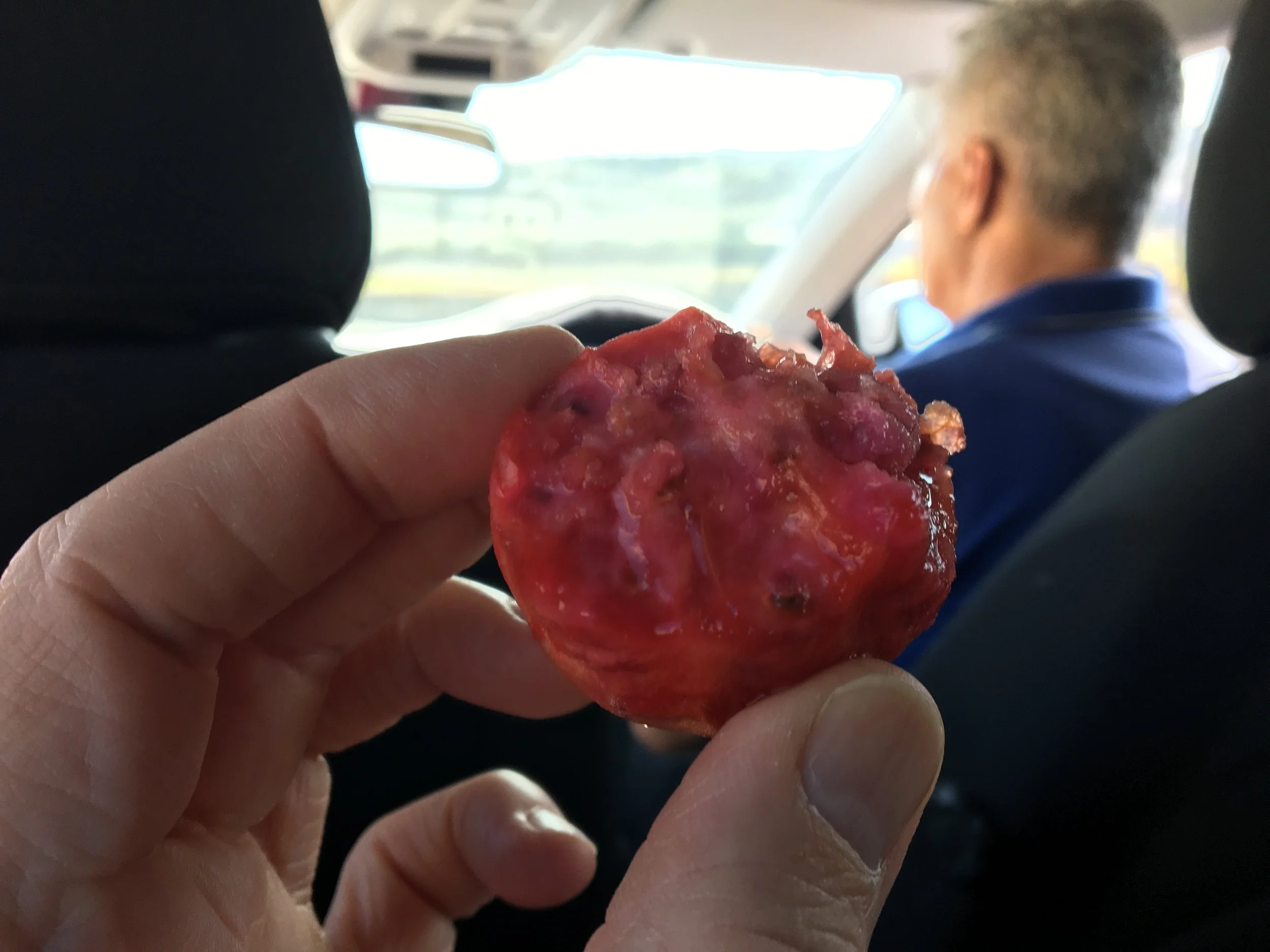 Taxi driver, wife on speaker-phone and delicious prickly pear - a great combination!
