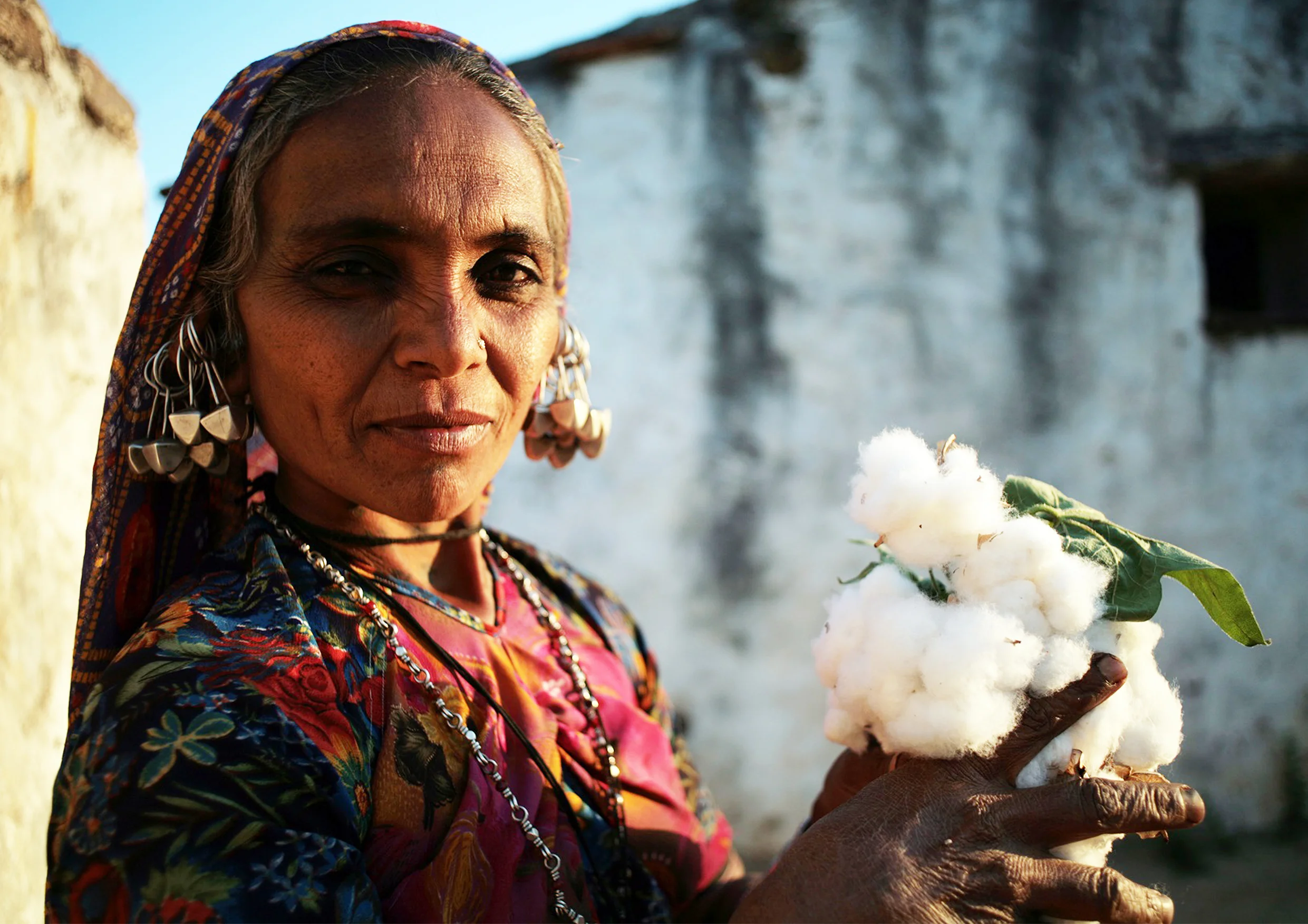 Cotton Farmer Image.jpg