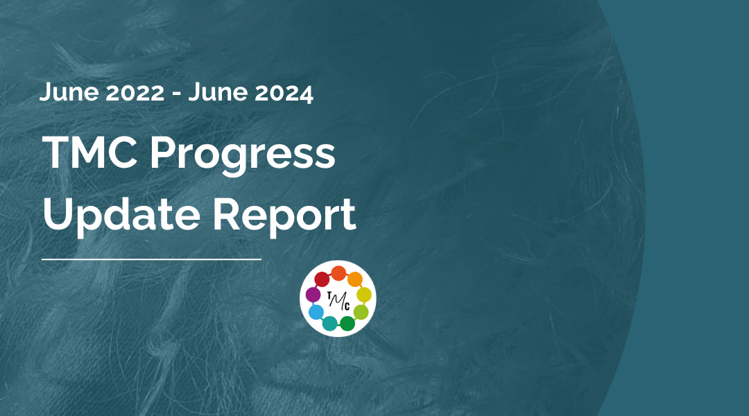 Progress Update Report