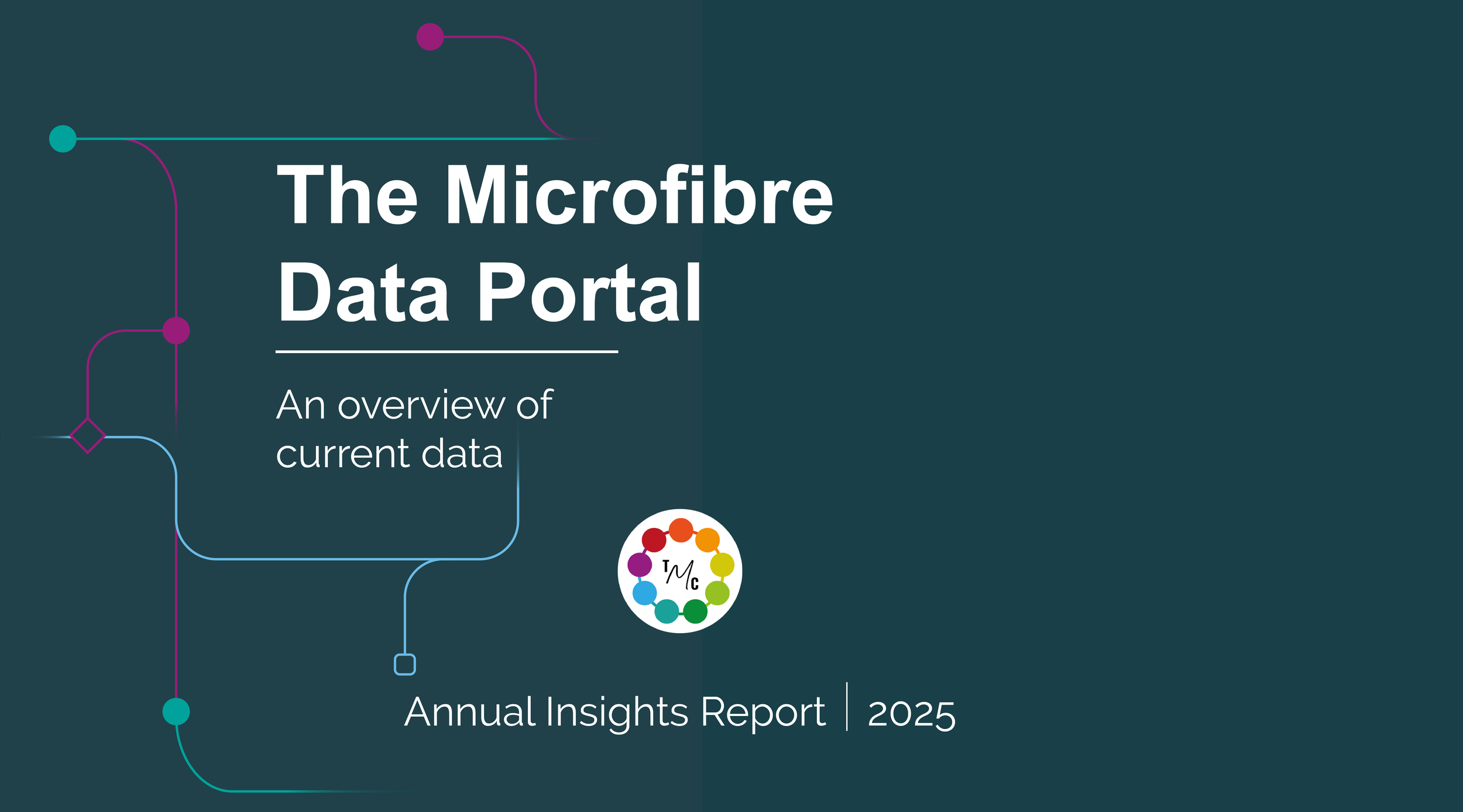 Annual Insights Report 2025