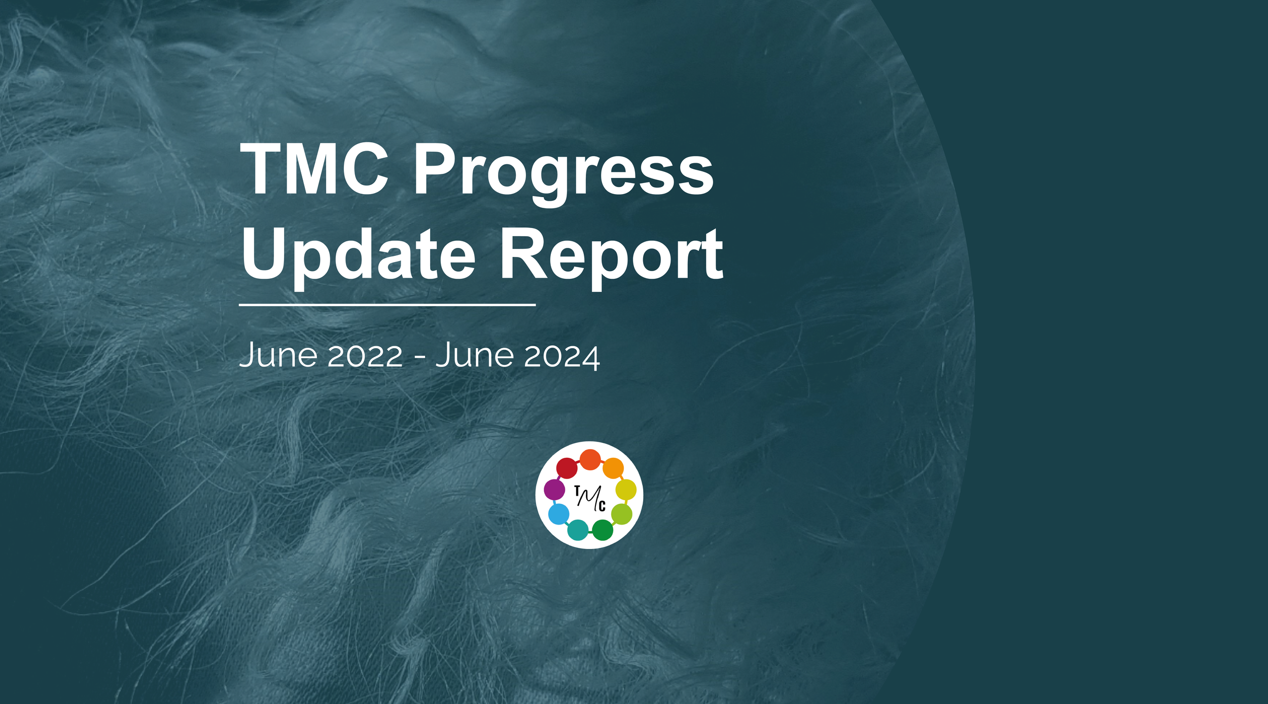 Progress Update Report