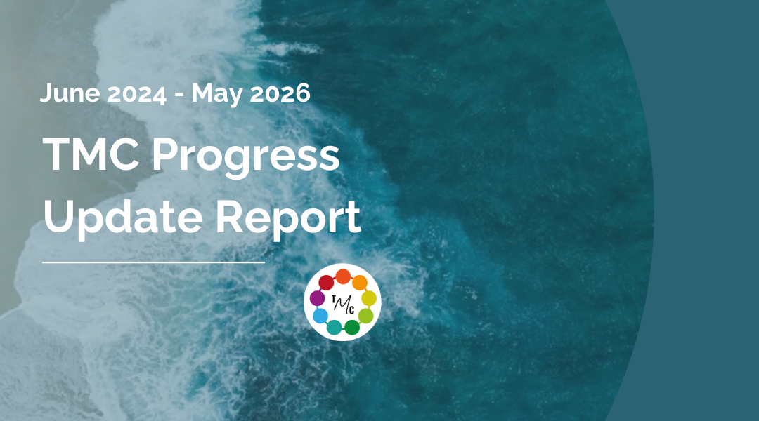 Progress Update Report 2026