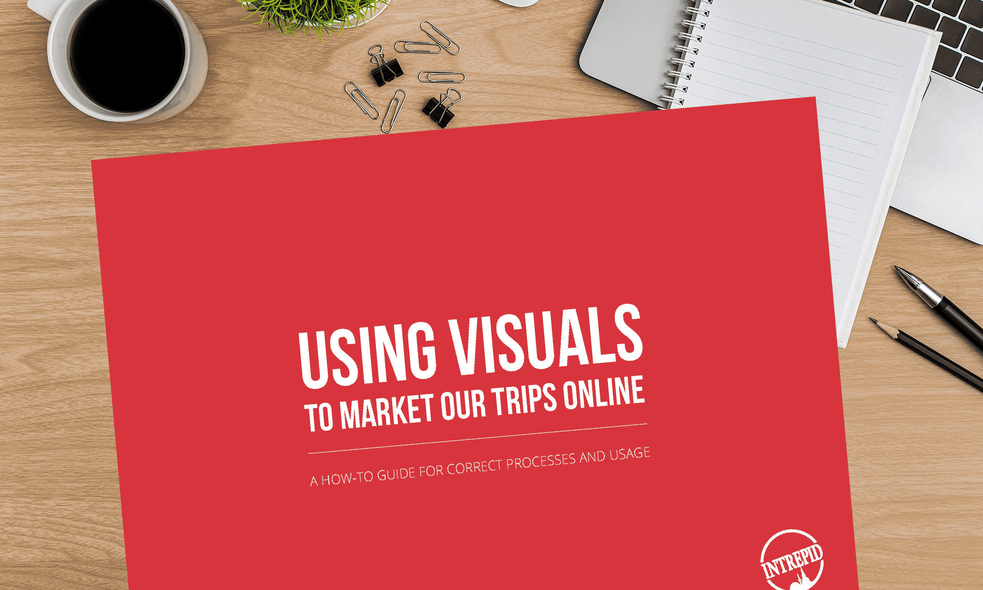 Intrepid-visuals-guide-2020-v4.gif
