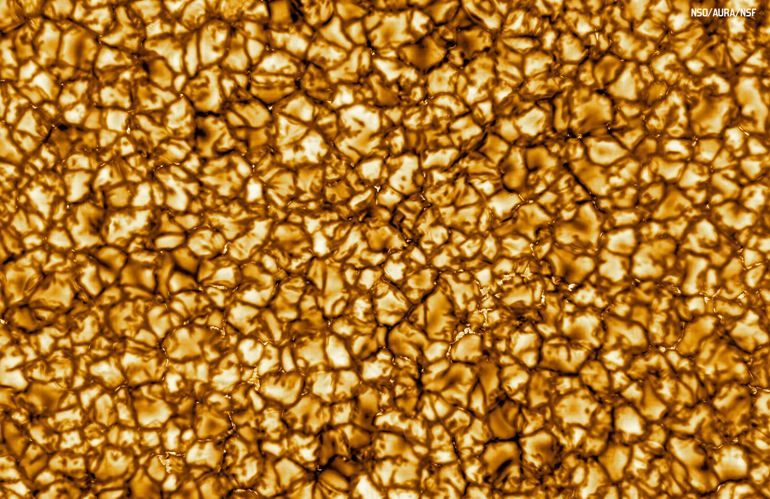 59: Living With A Star