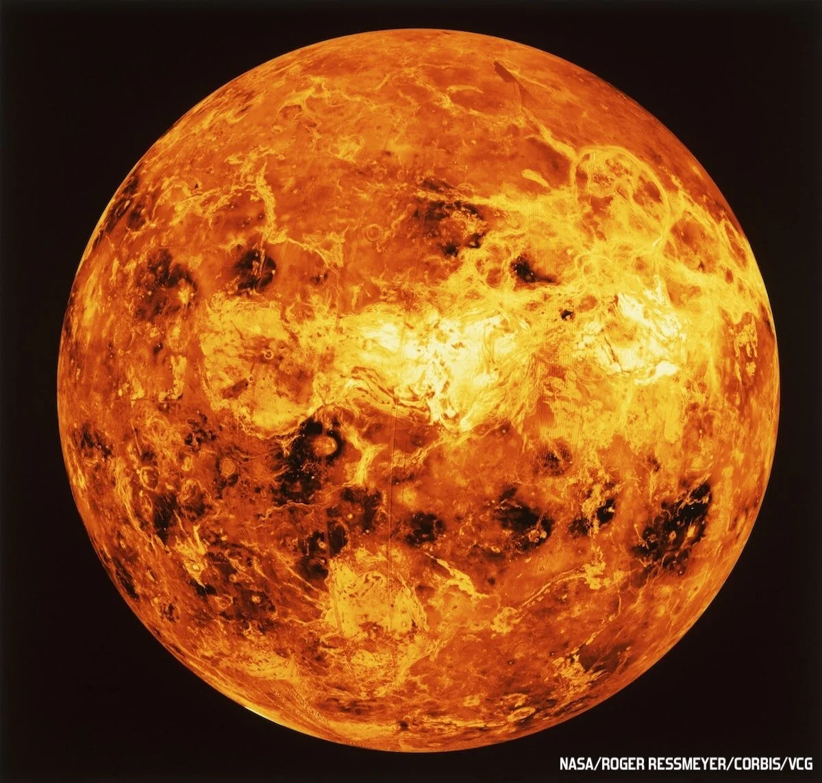 71: Penguins on Venus?