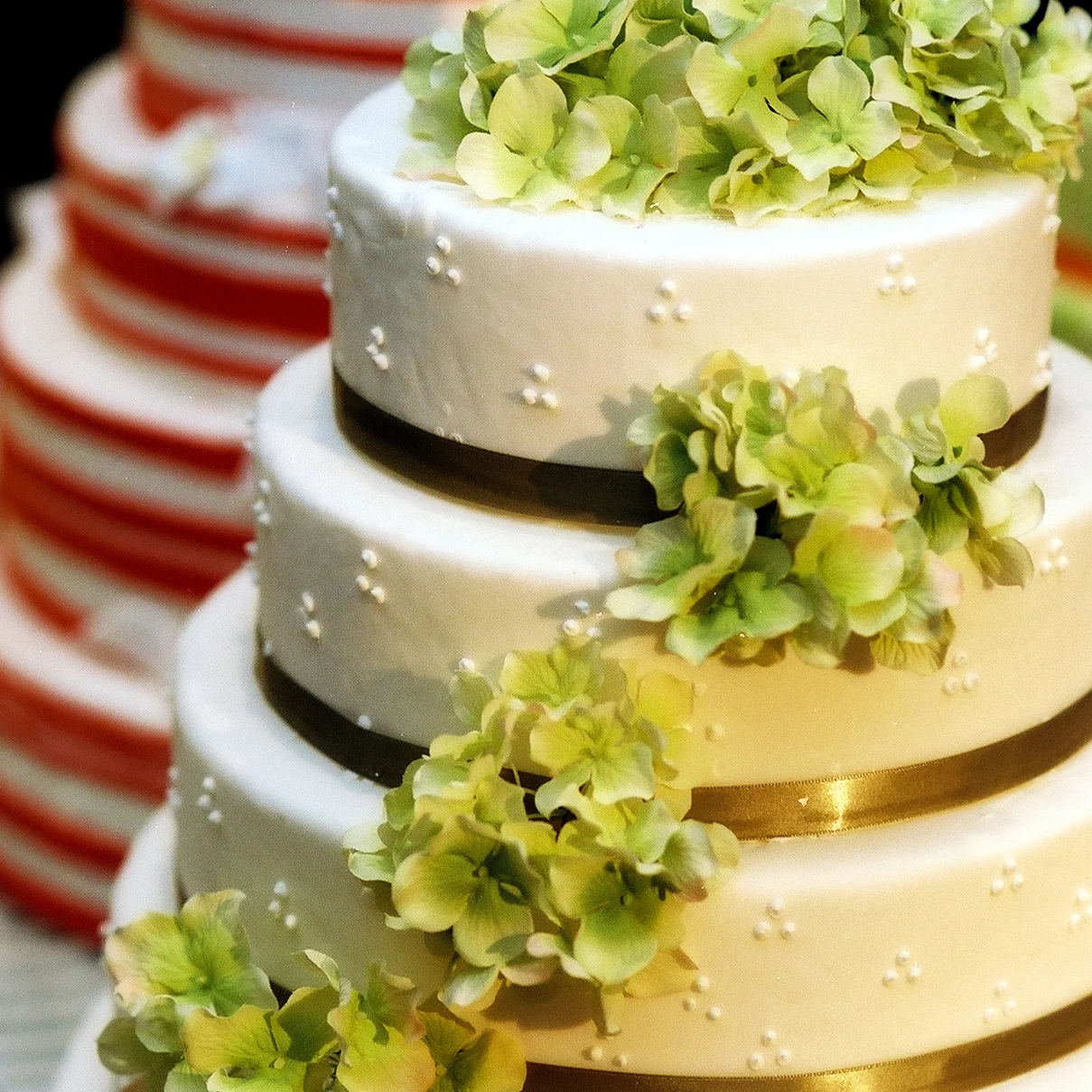 Paula Jacqueline Cakes and Pastries