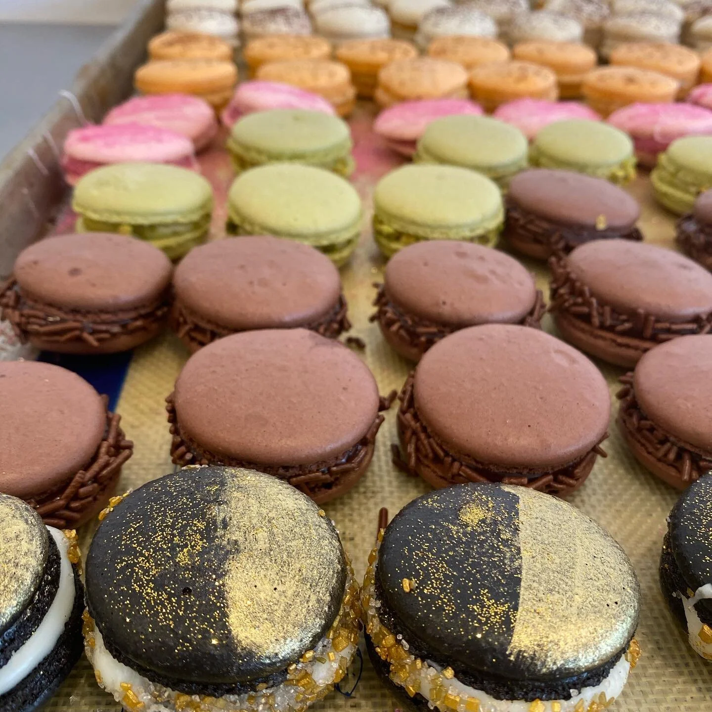 Paula Jacqueline Cakes and Pastries