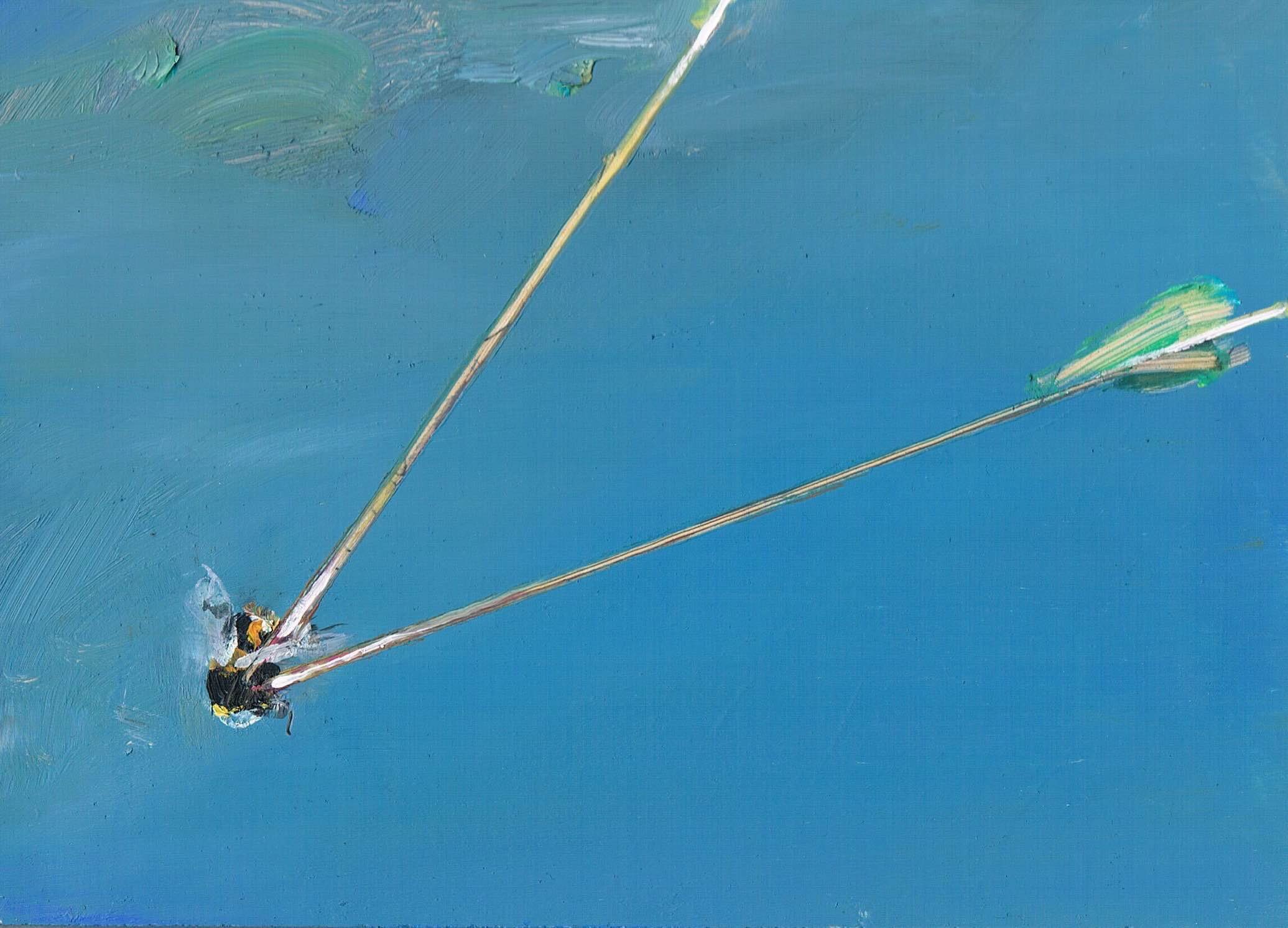  Gabhann Dunne    Sebastian’s Bee, 2015  Rec Age group:  4 to 11 / 11 to 16 / 16+ 