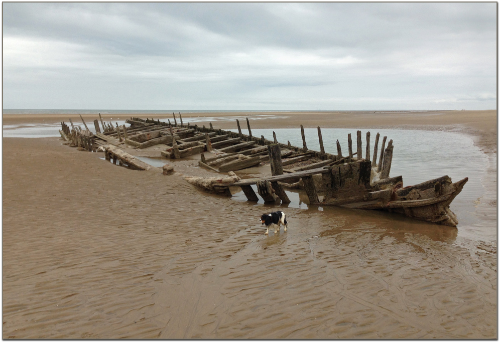  When we discovered the newly emerged wreck of The Star at Ainsdale. 