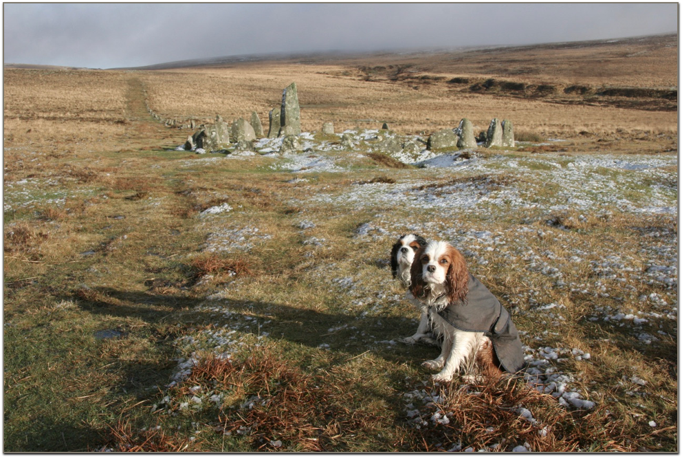  Dartmoor, strange beauty: where the rain is incessant and long shadows are carved in ice. 
