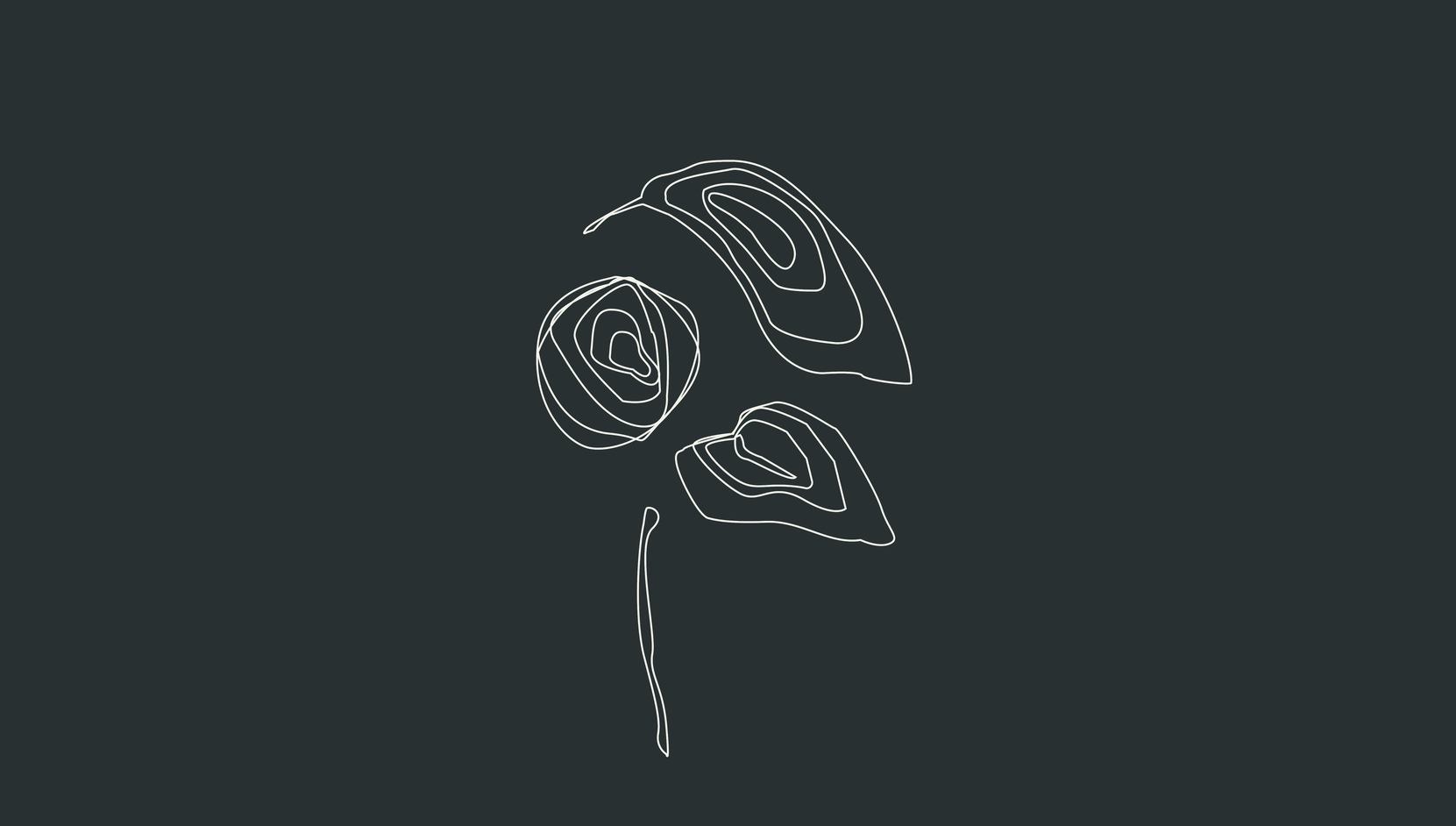 web test 4_preview.png