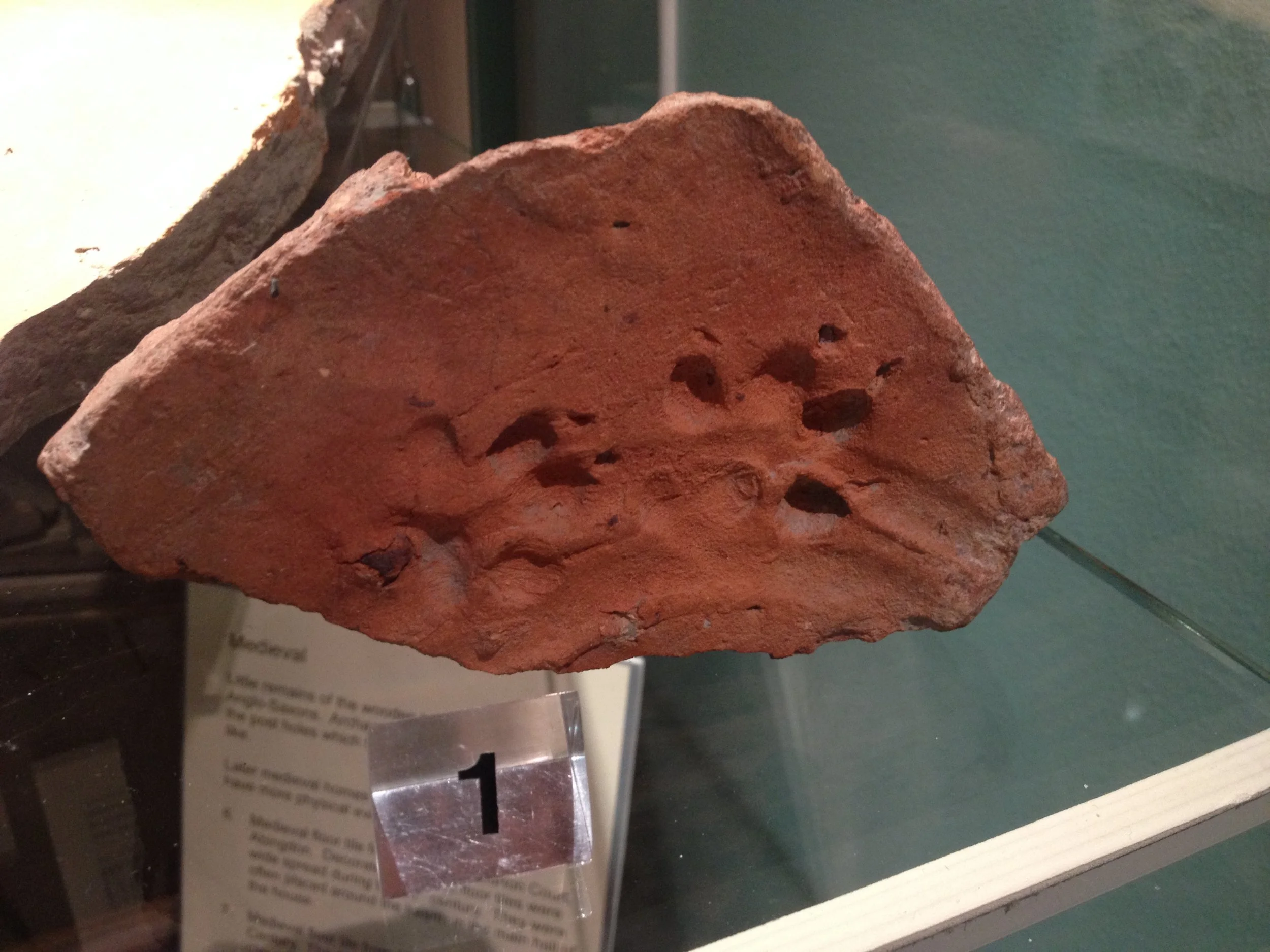Roman dog footprint, Vale and Downland Museum