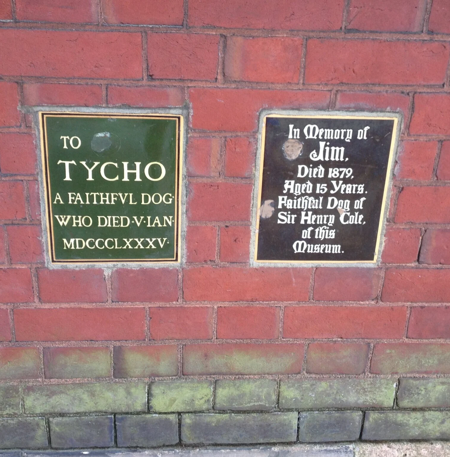 Dog memorial plaques, V&A Museum