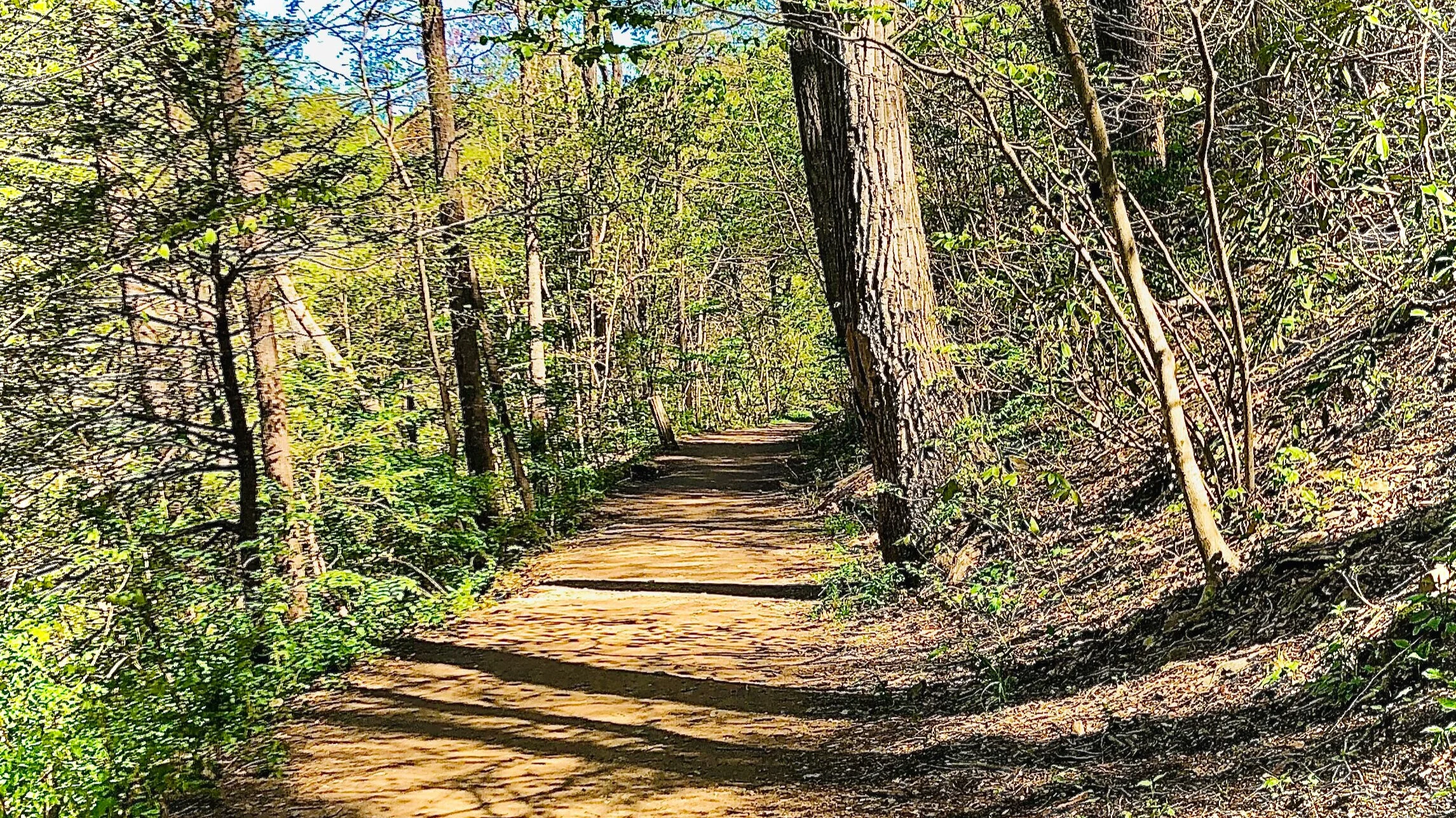 The Path is the Goal