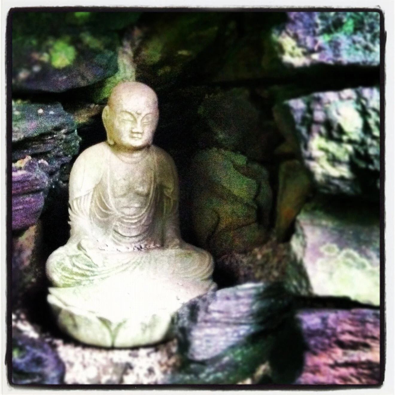 REMOTE SESSIONSOnce a week via Skype/FaceTime - includes post-session notes and resource guides.Individual session: $50/hour4 weeks: $1758 weeks: $32512 weeks: $450