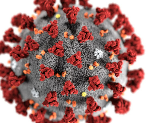 Can Vitamin D Protect Against Covid?