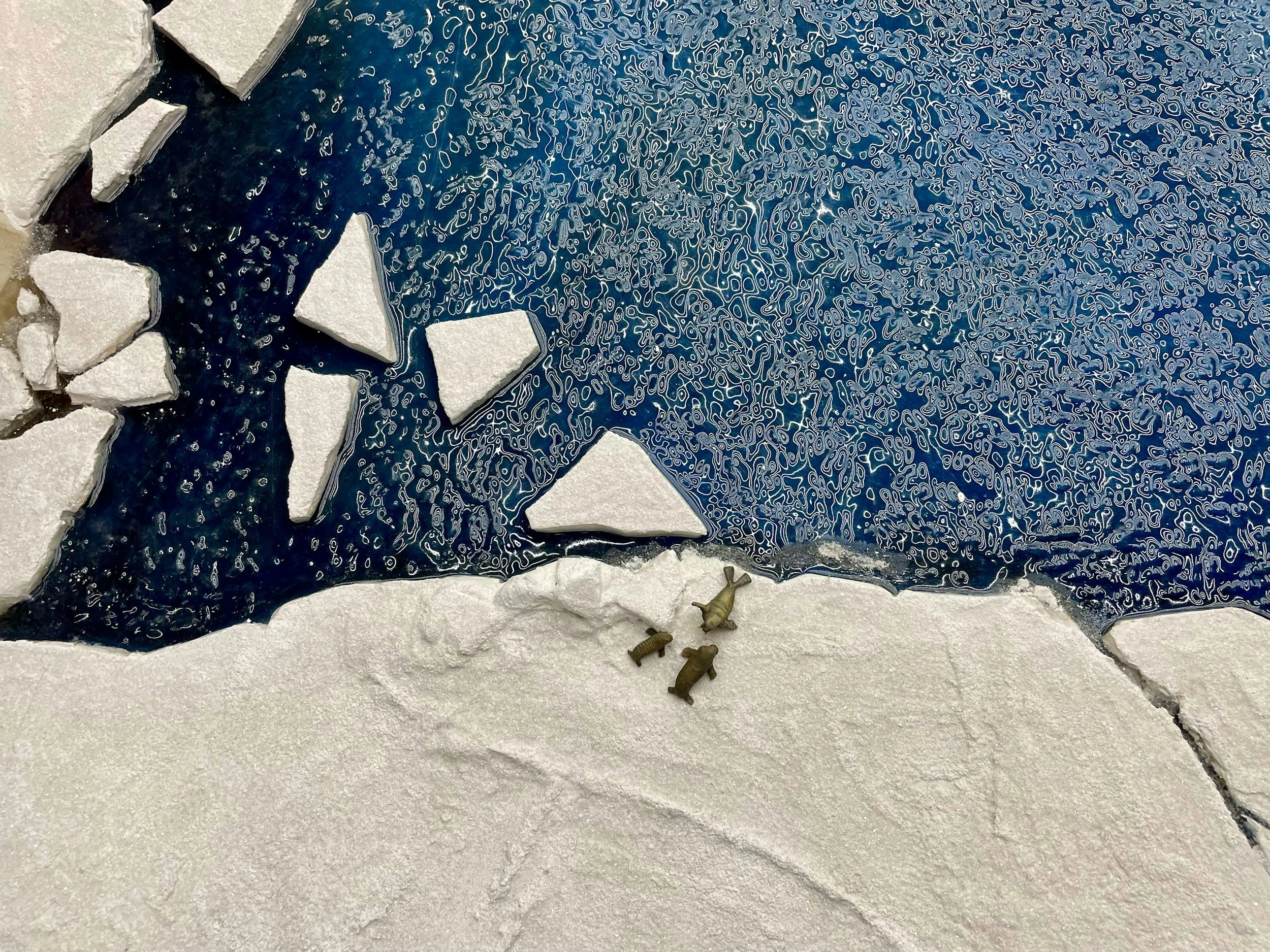 Arctic sea ice hits a record LOW