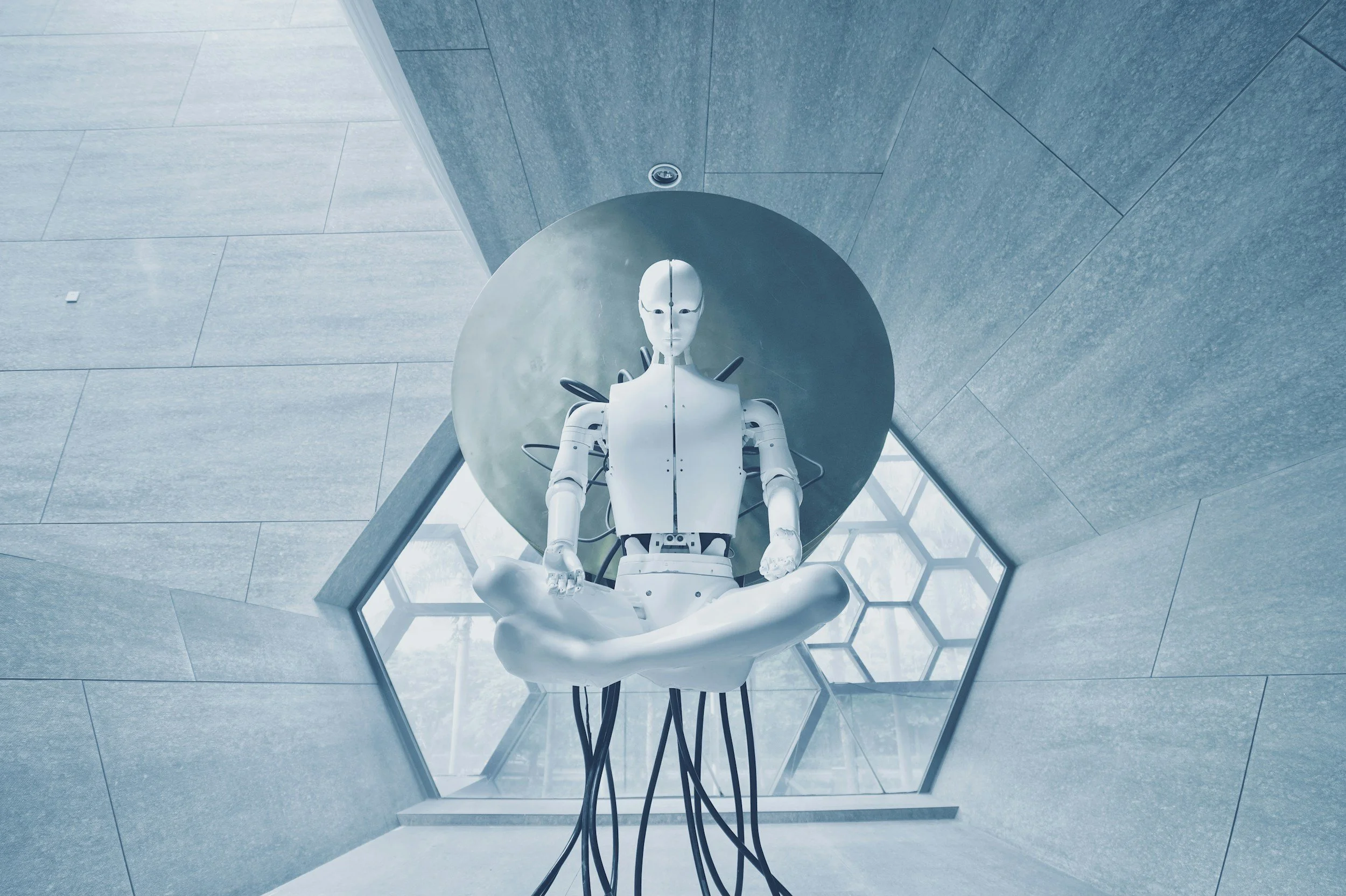 World Humanoid Robot Games