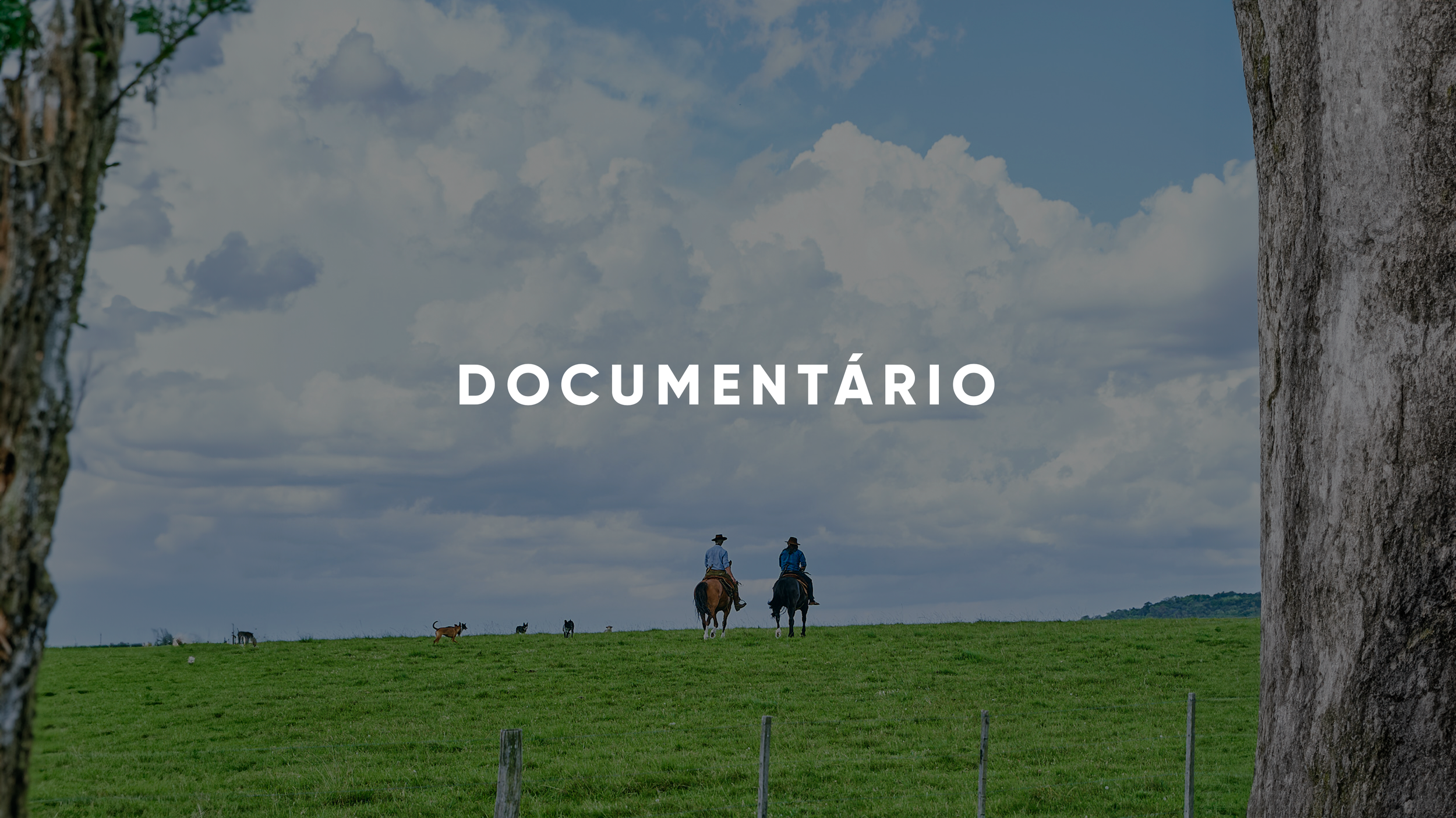 capa documentarios.png