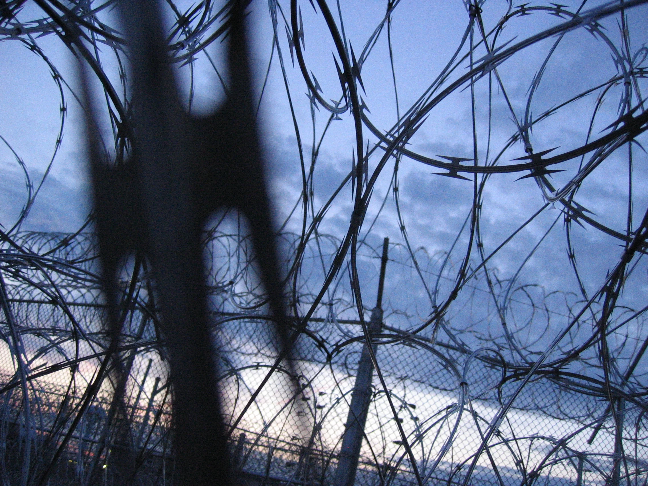 Parking Ticket Stands Between Mother and Son