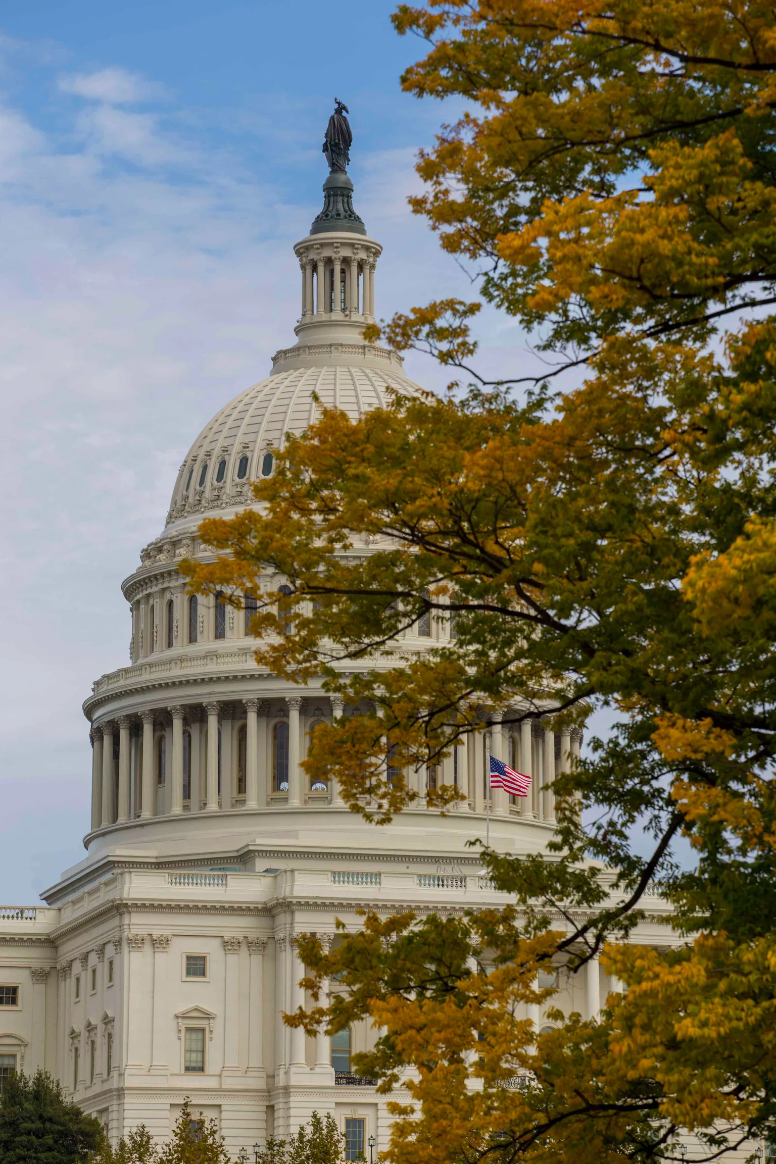  Phil Telfeyan Speaks at We the People Rally