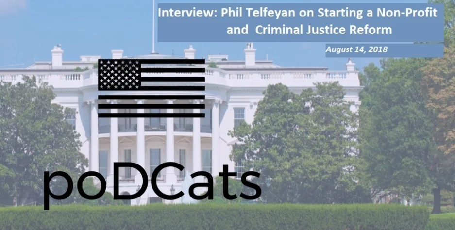 poDCats banner resized.png